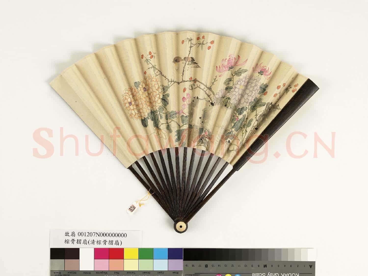 清人花鳥 成扇