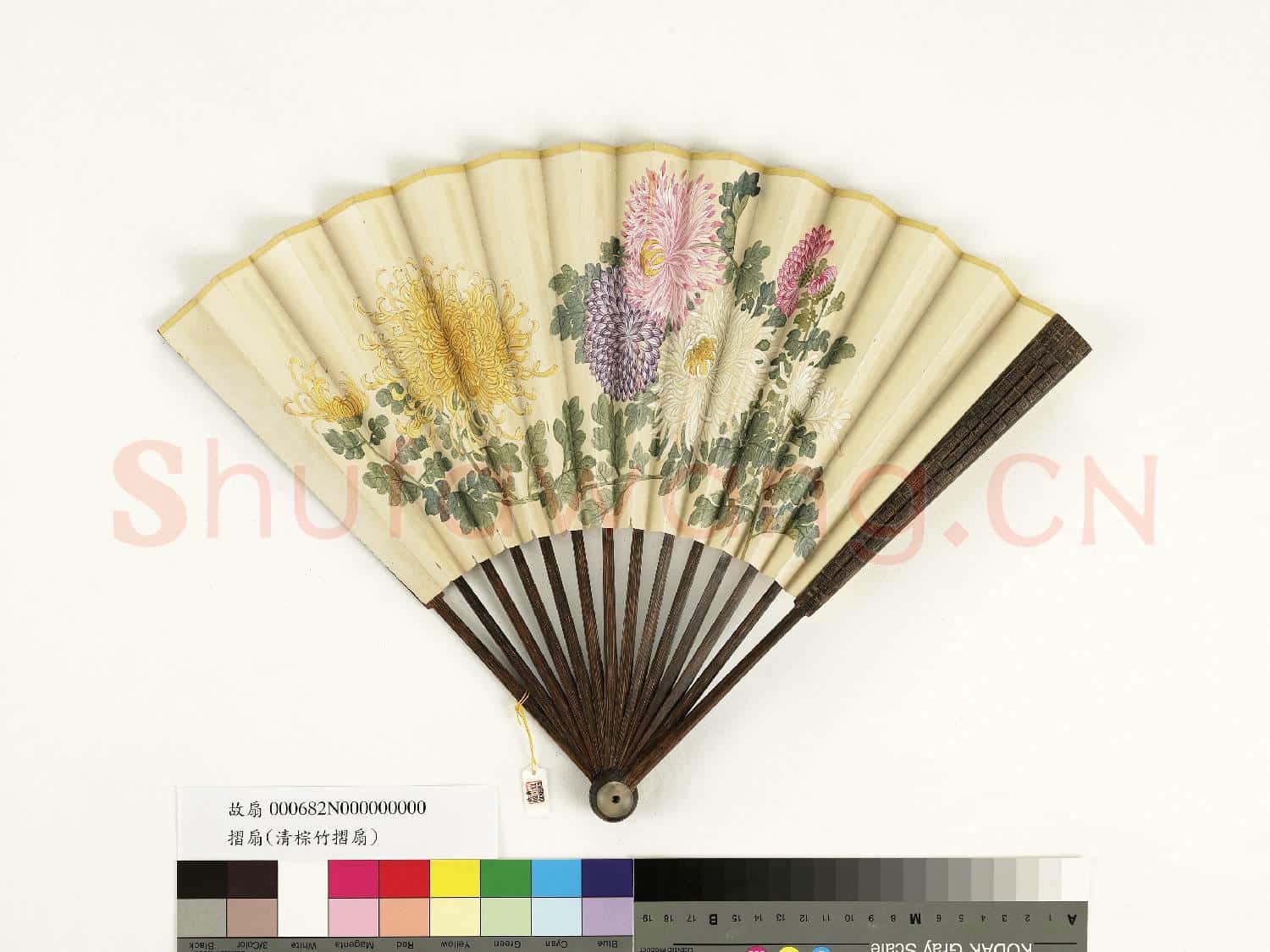 清人花卉 成扇