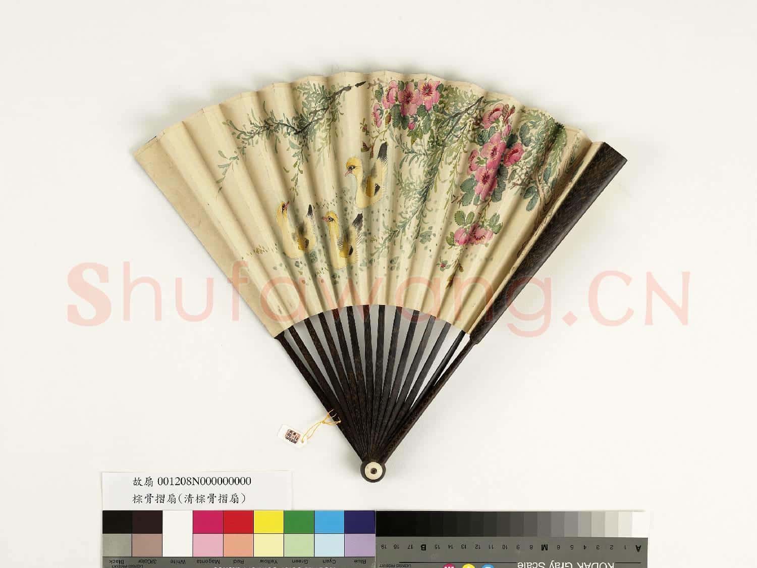 清人花鳥 成扇