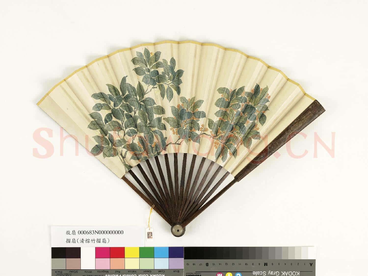 清人花卉 成扇