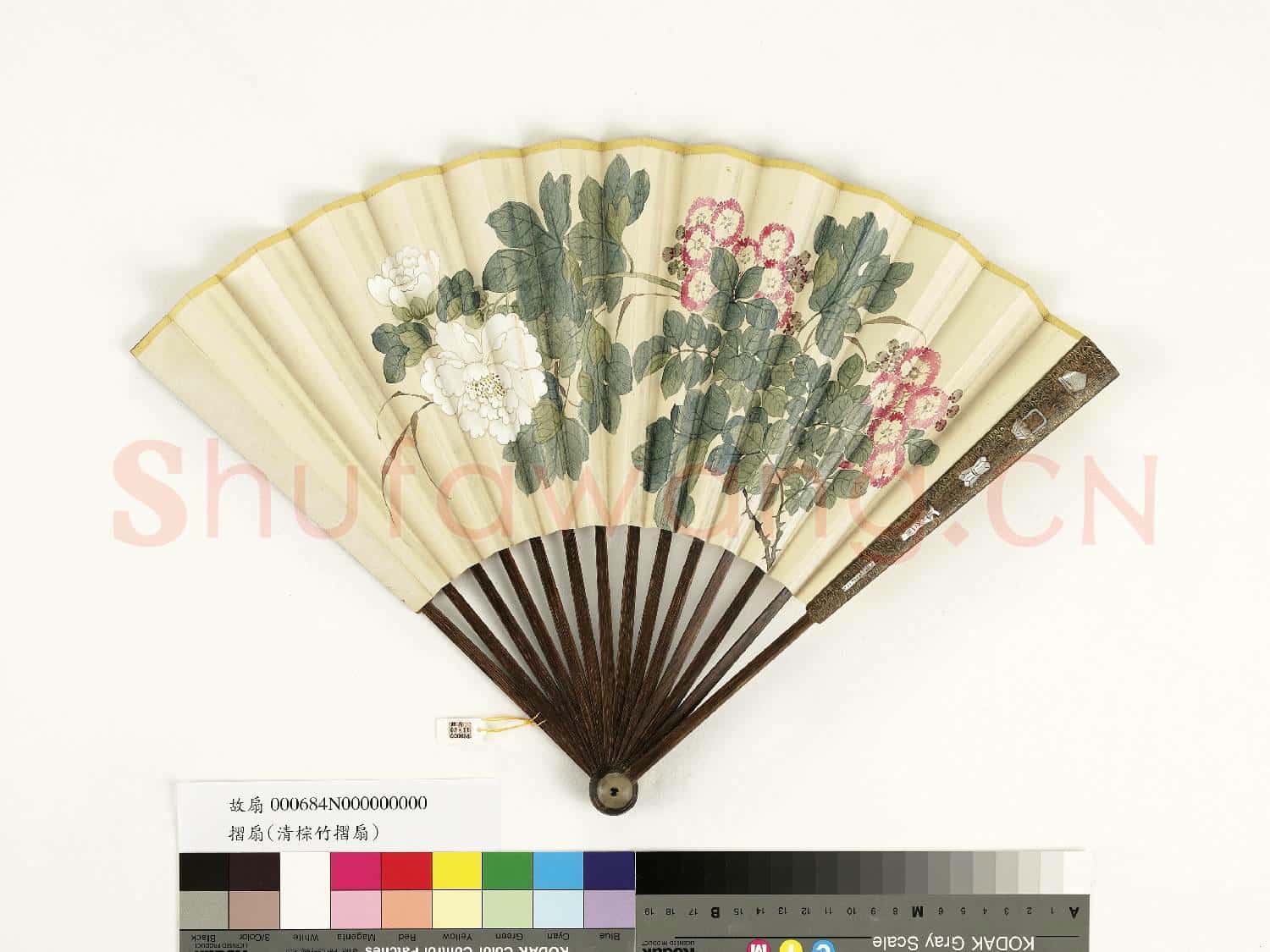 清人花卉 成扇