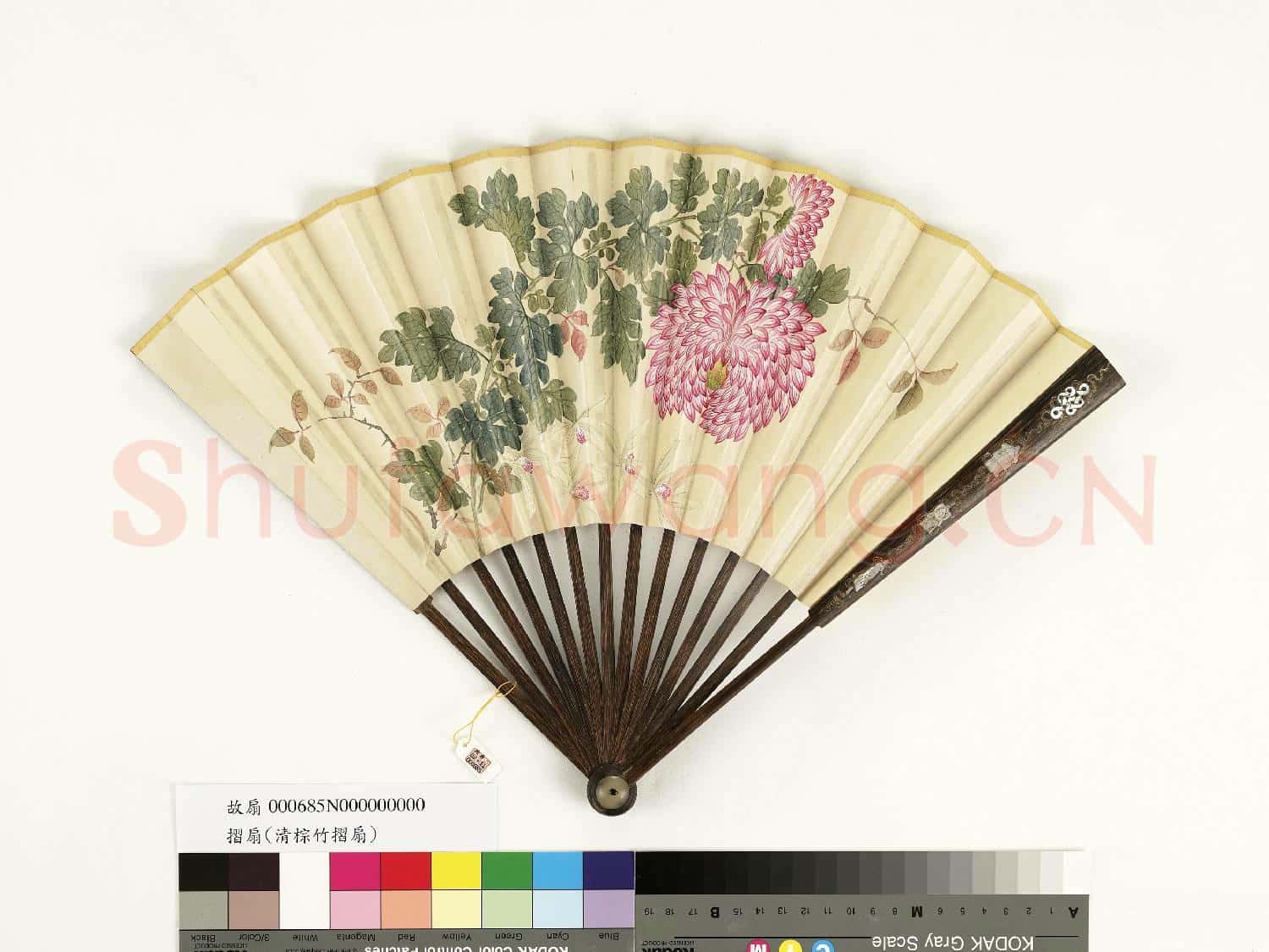 清人花卉 成扇