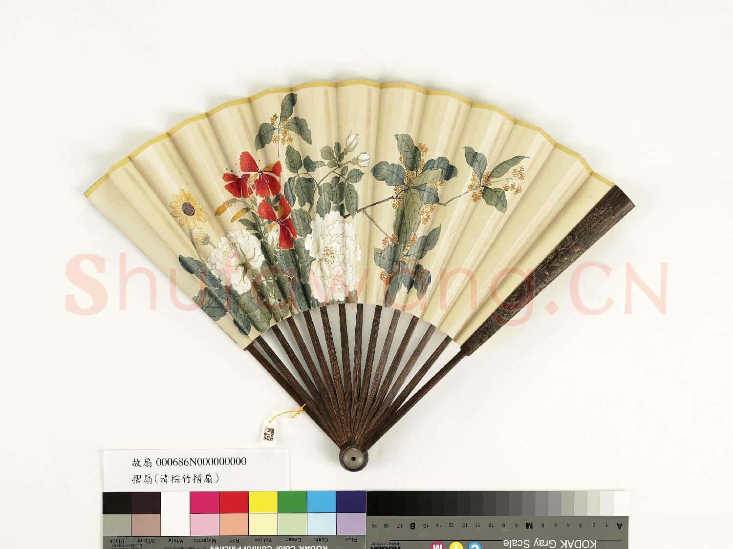 清人花卉 成扇