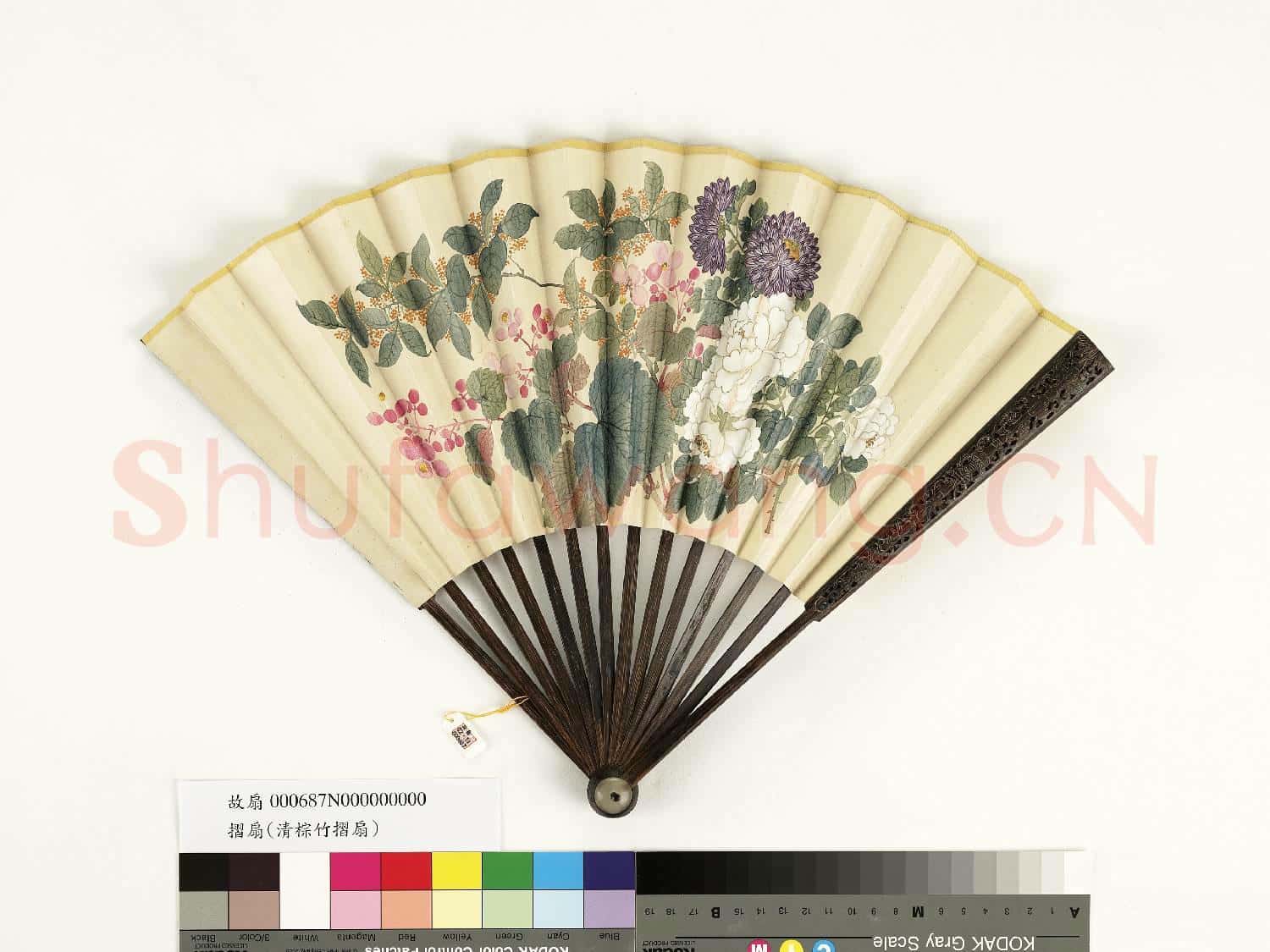 清人花卉 成扇