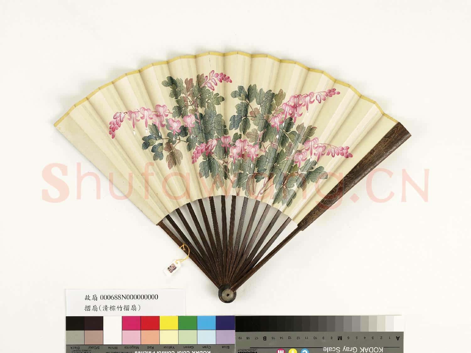 清人花卉 成扇