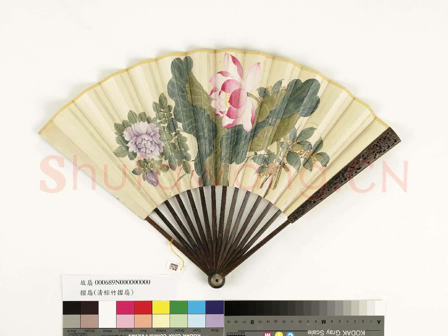 清人花卉 成扇