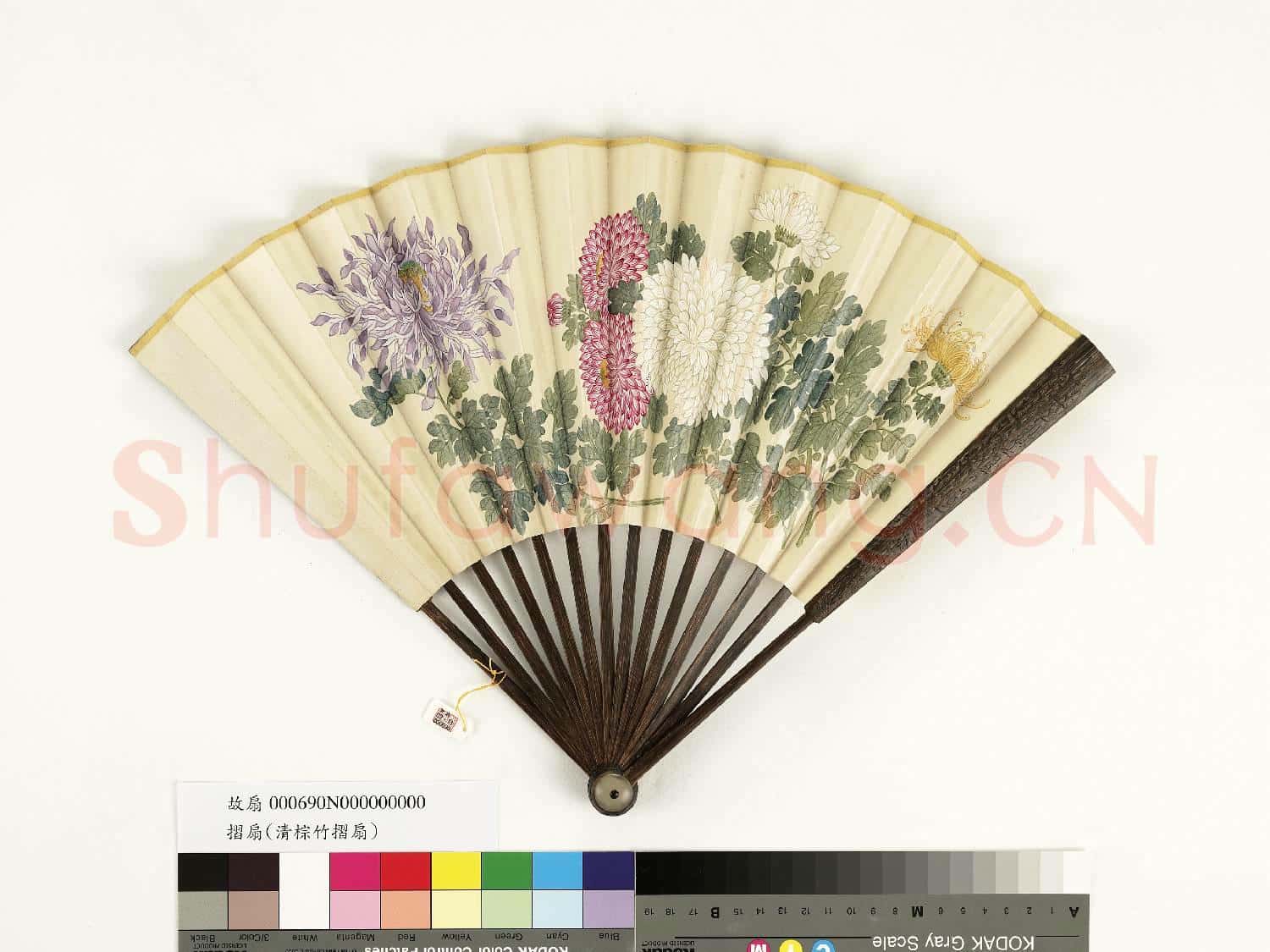 清人花卉 成扇