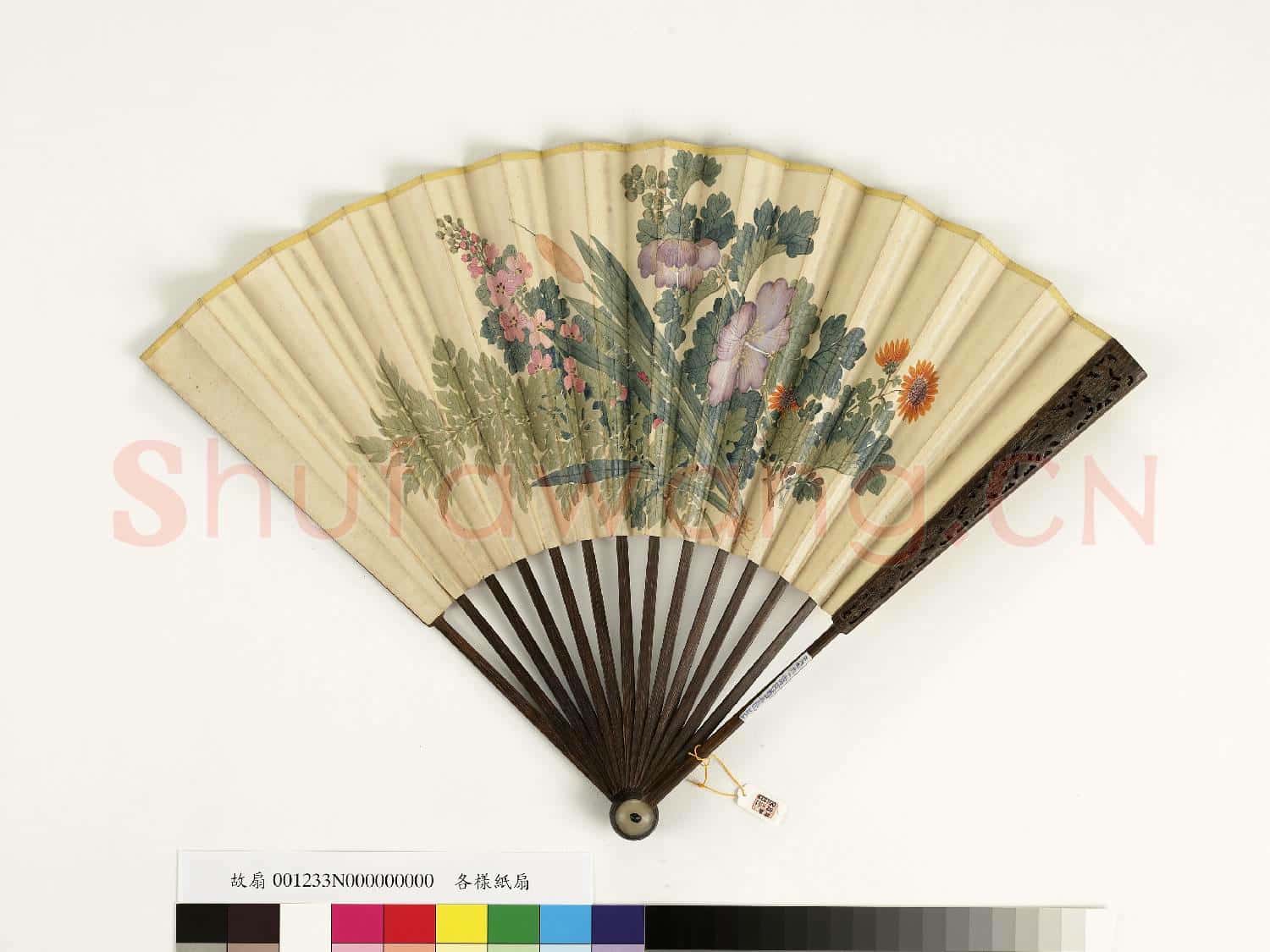 清人花卉 成扇