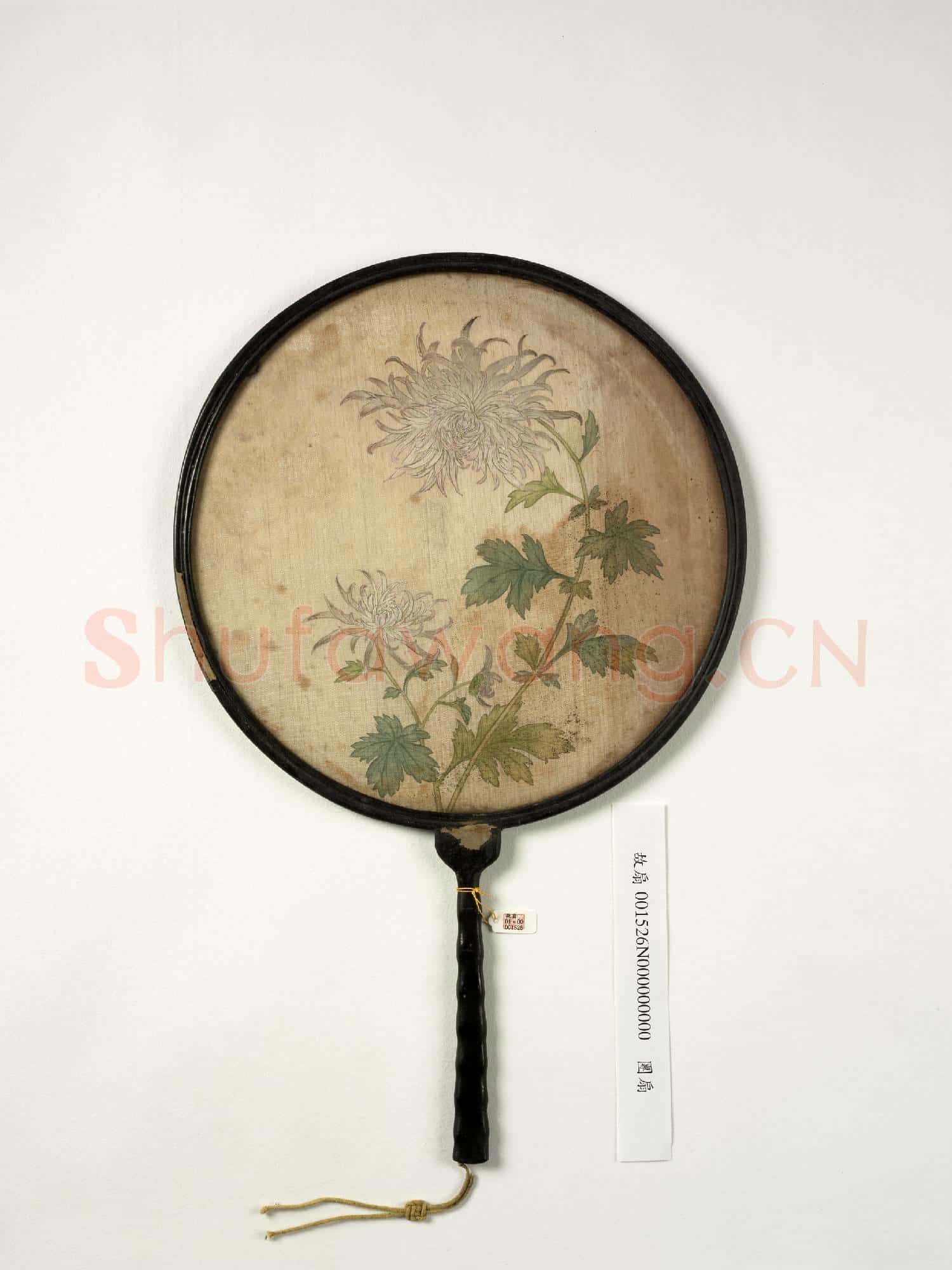 清人畫菊 成扇