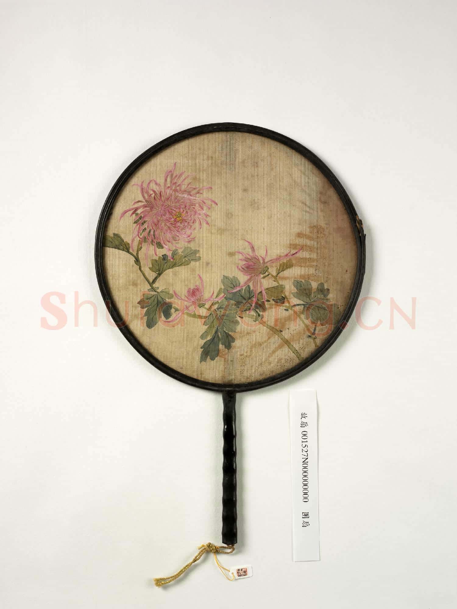 清人畫菊 成扇