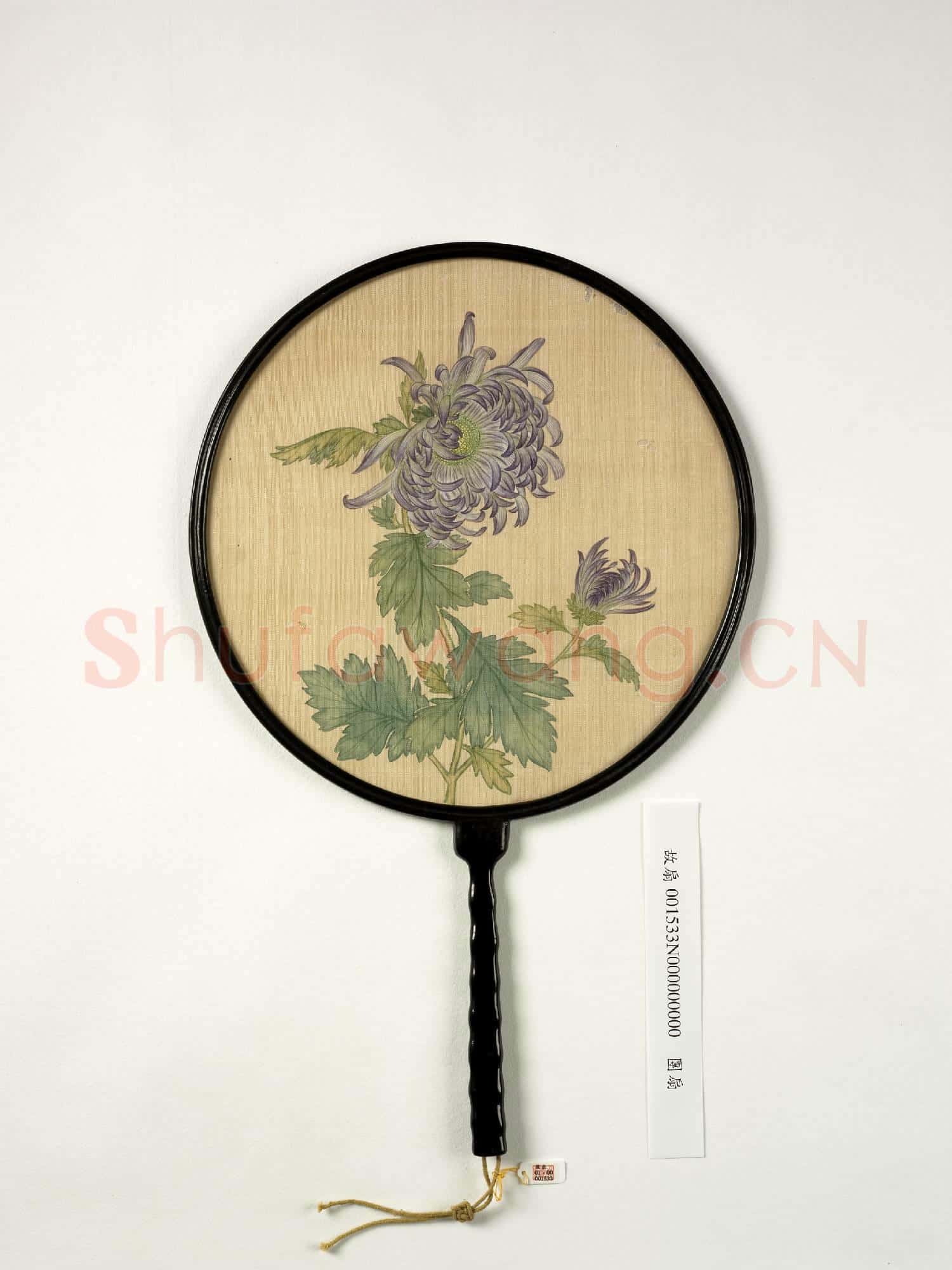 清人菊花 成扇
