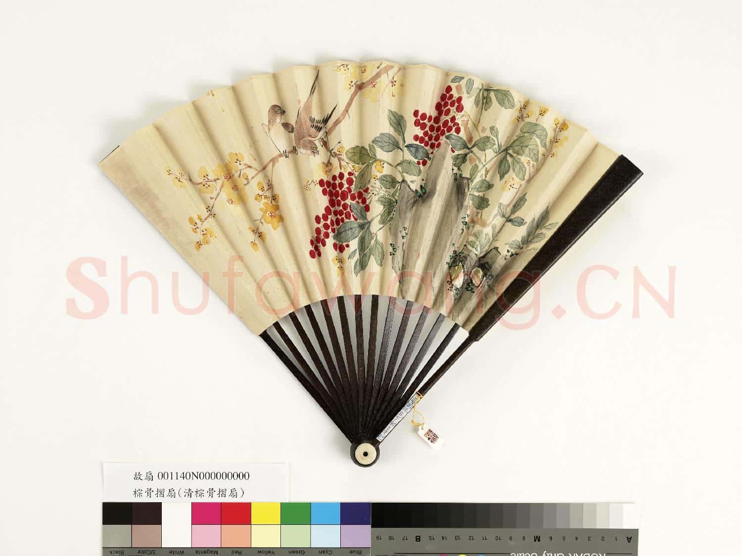 清人花鳥 成扇