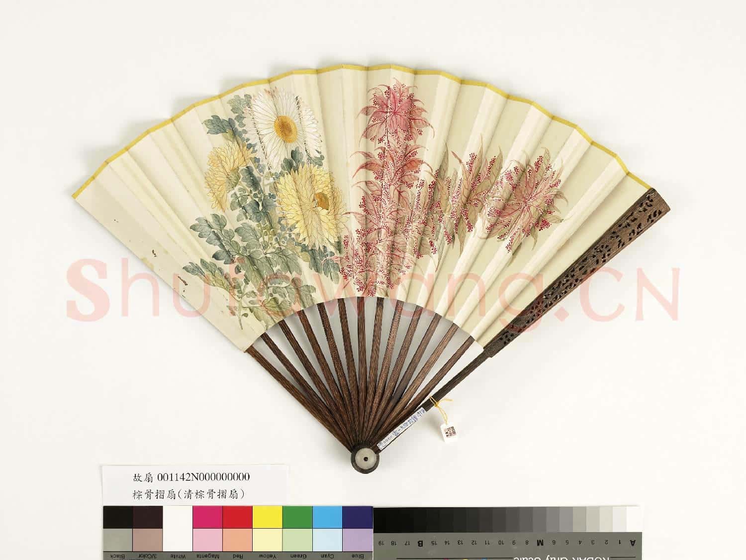 清人花卉 成扇