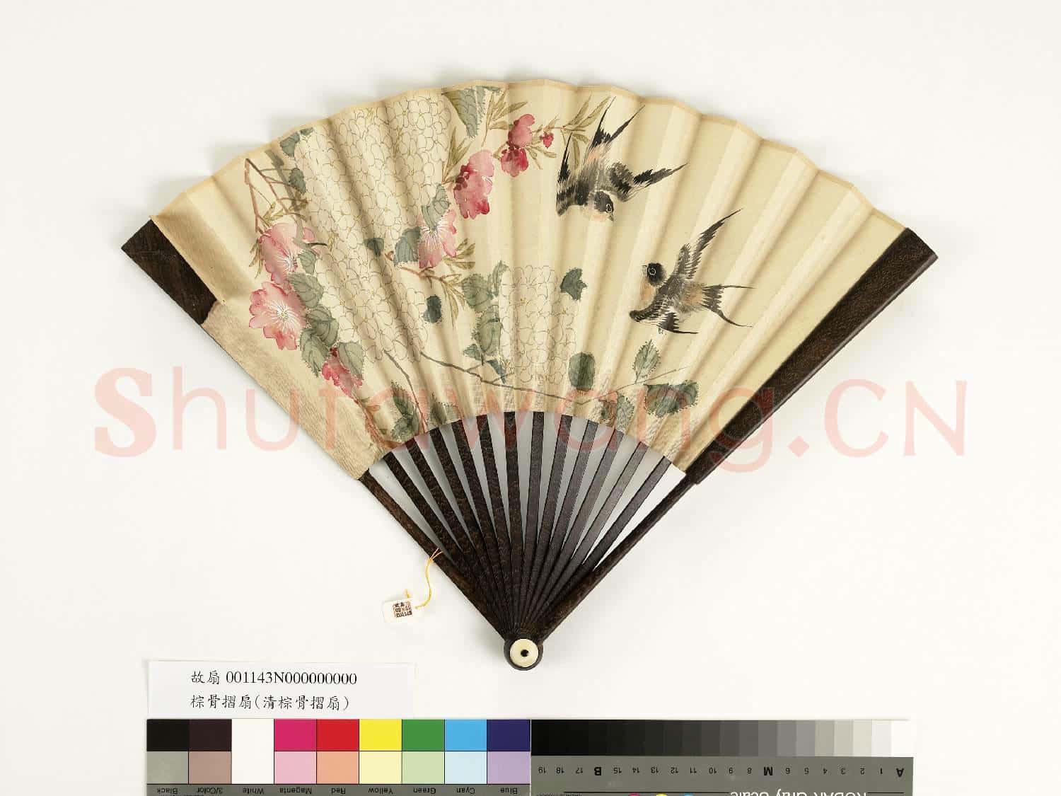 清人花鳥 成扇
