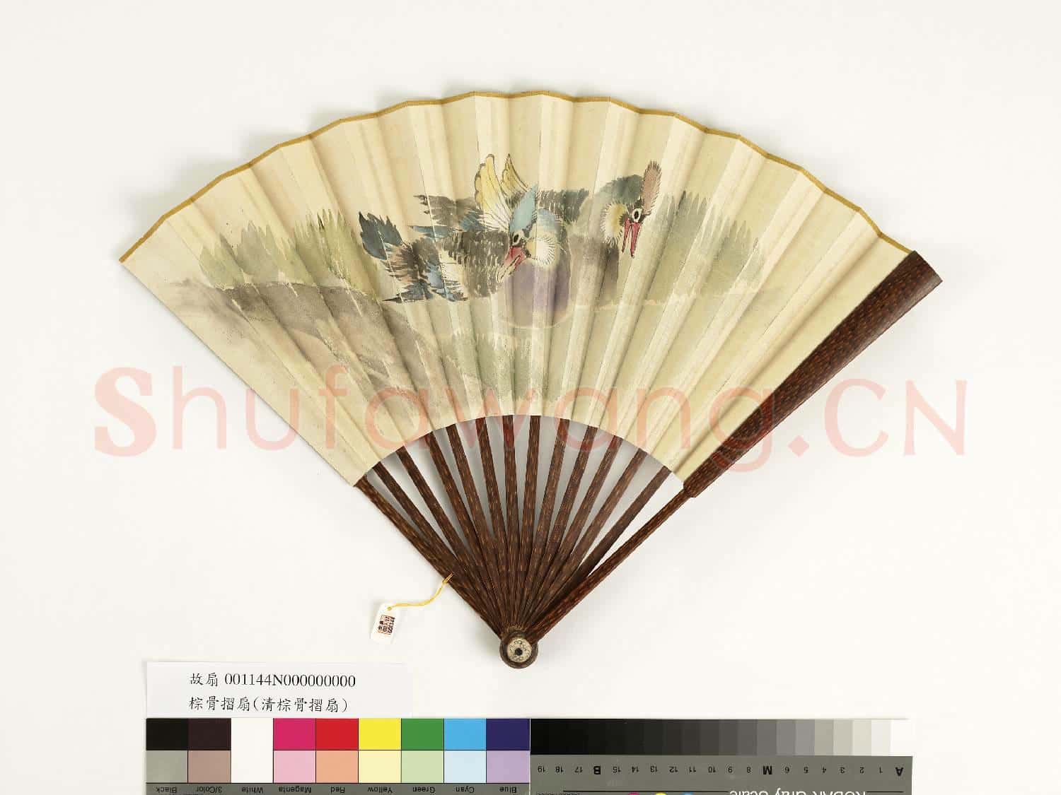 清人花鳥 成扇