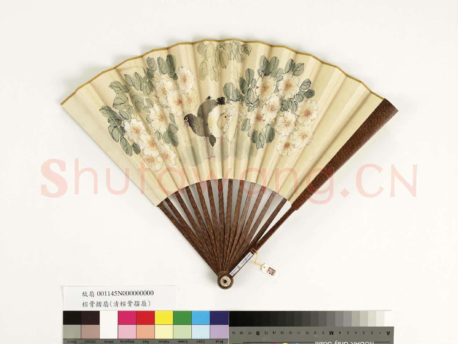 清人花鳥 成扇