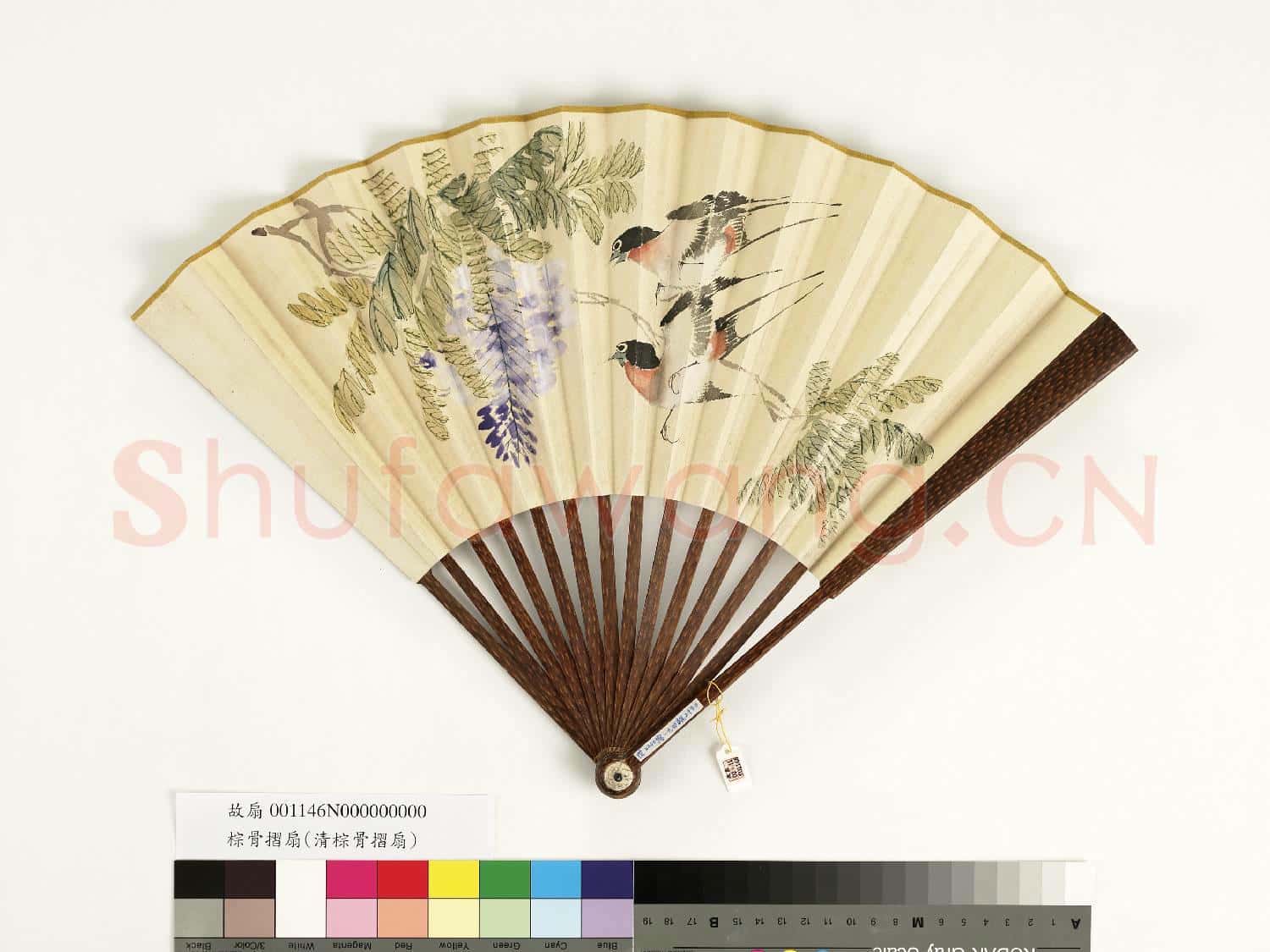清人花鳥 成扇