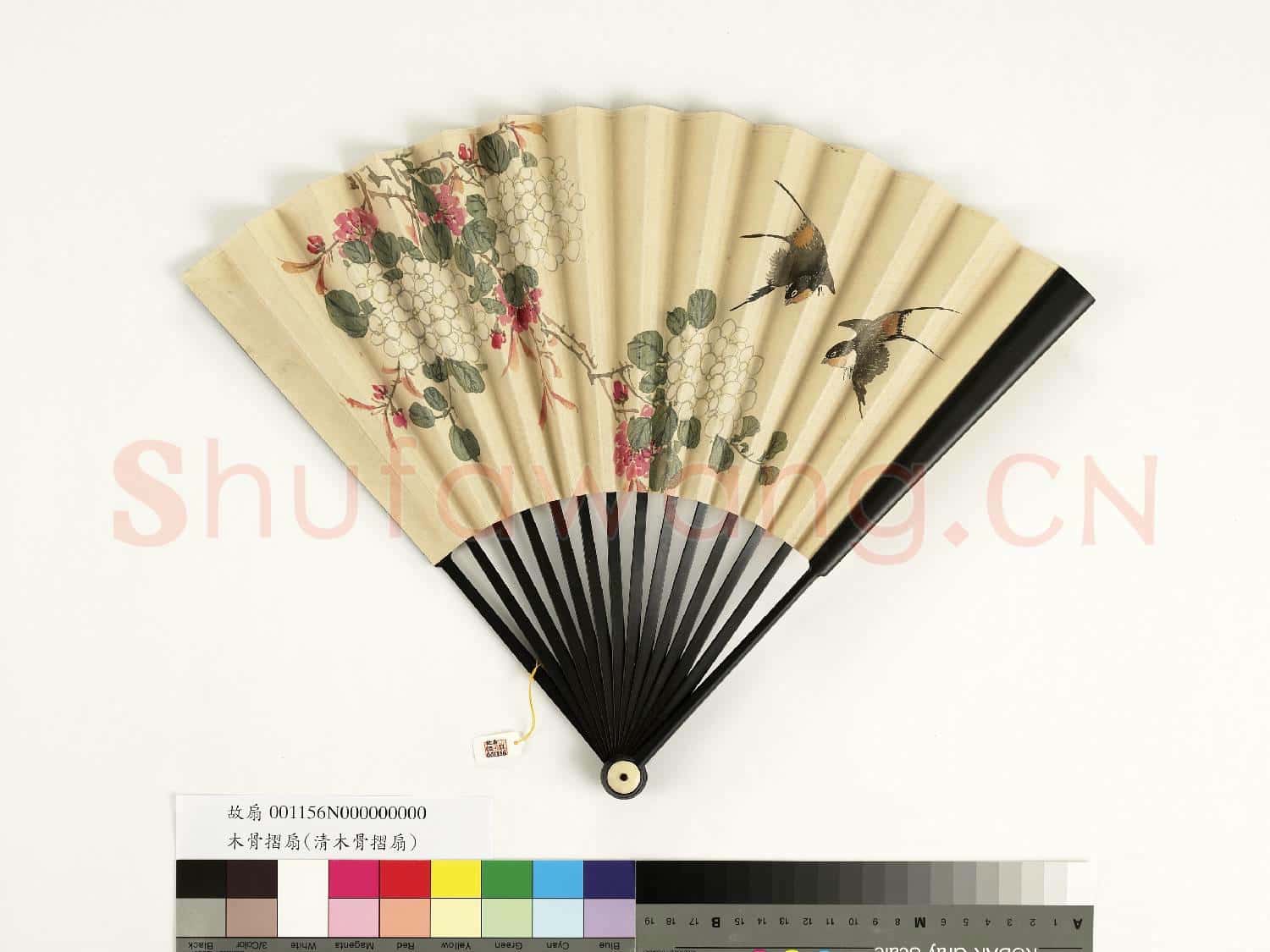 清人花鳥 成扇