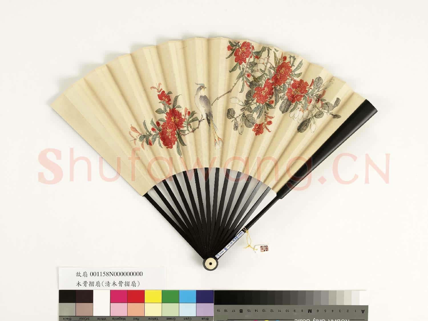 清人花鳥 成扇