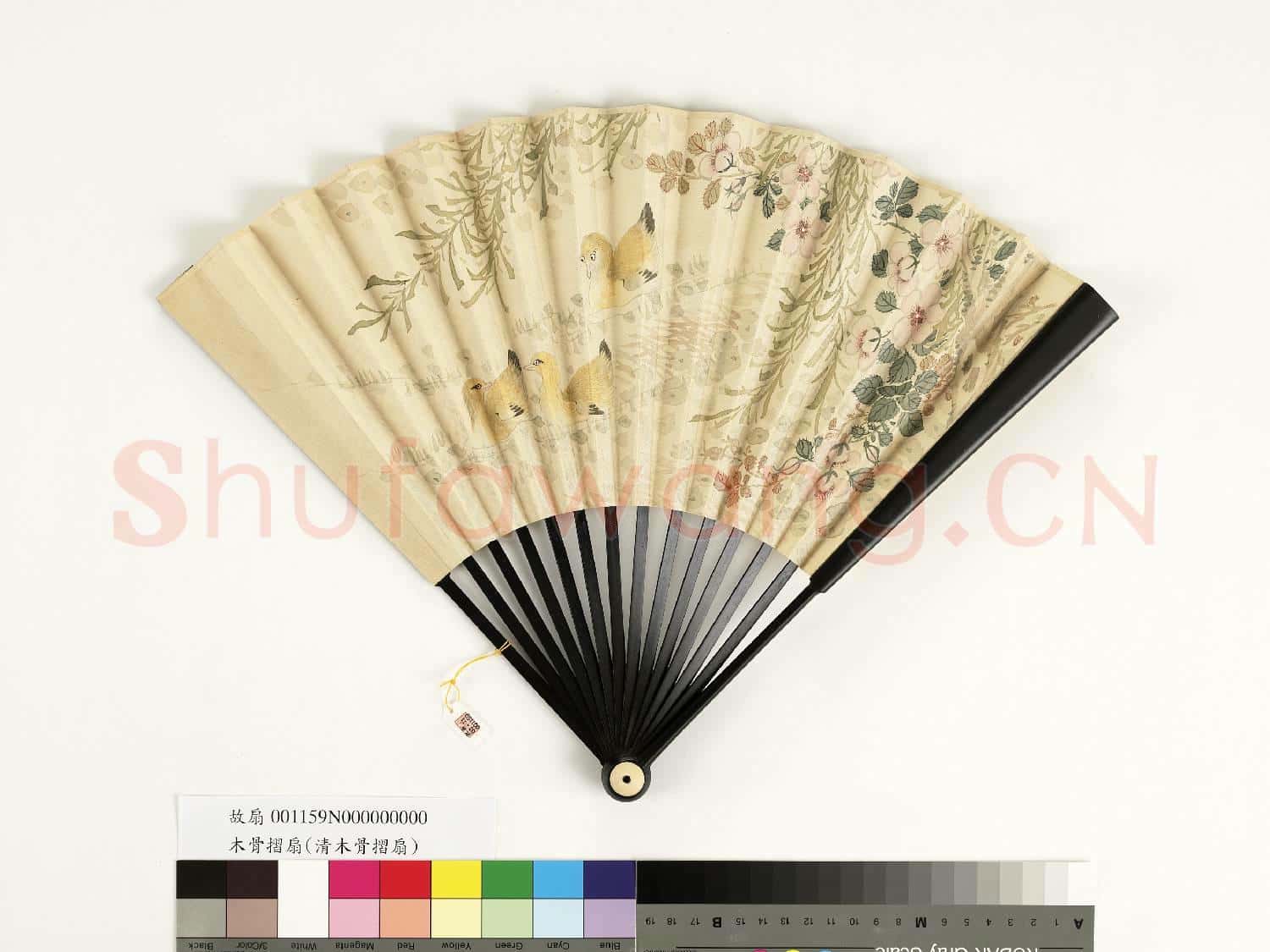 清人花鳥 成扇