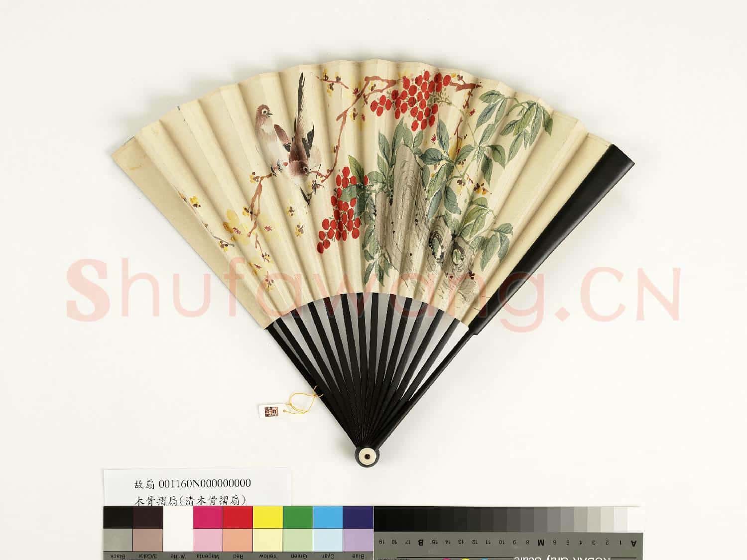 清人花鳥 成扇
