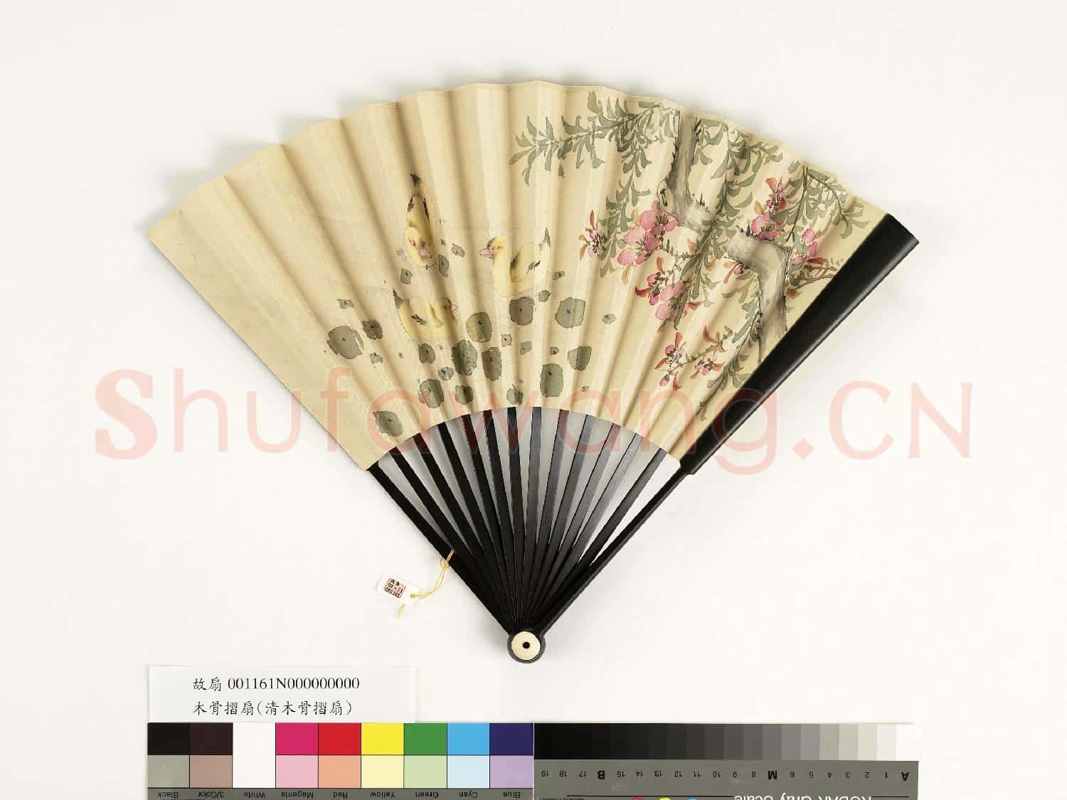 清人花鳥 成扇