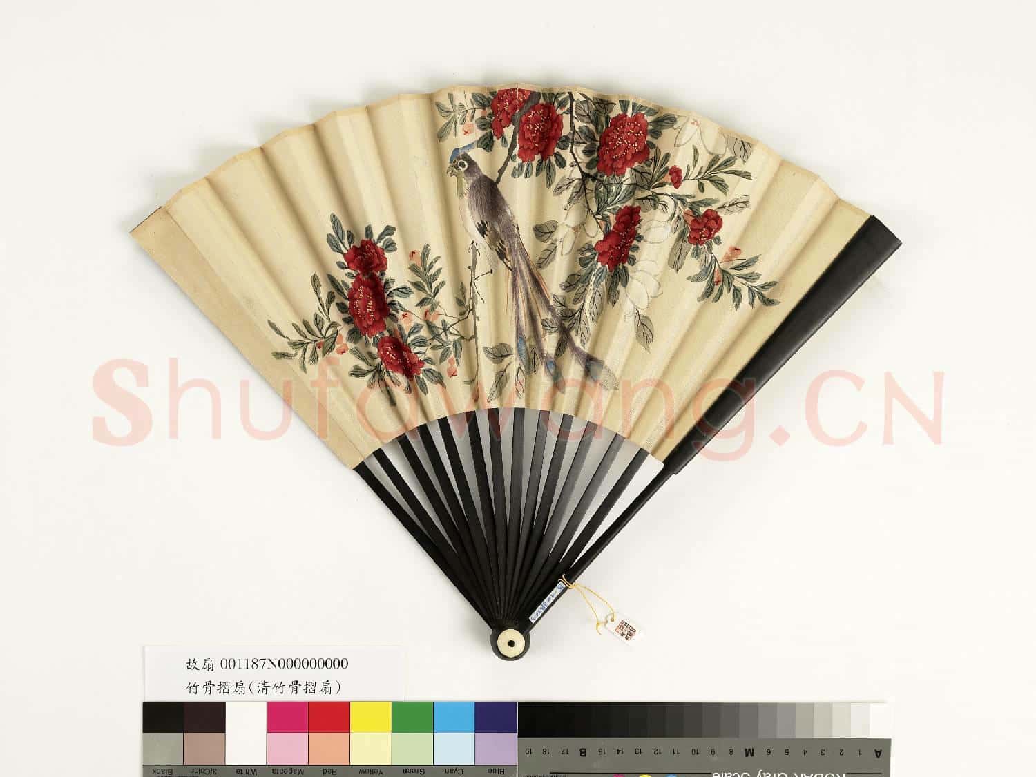 清人花鳥 成扇
