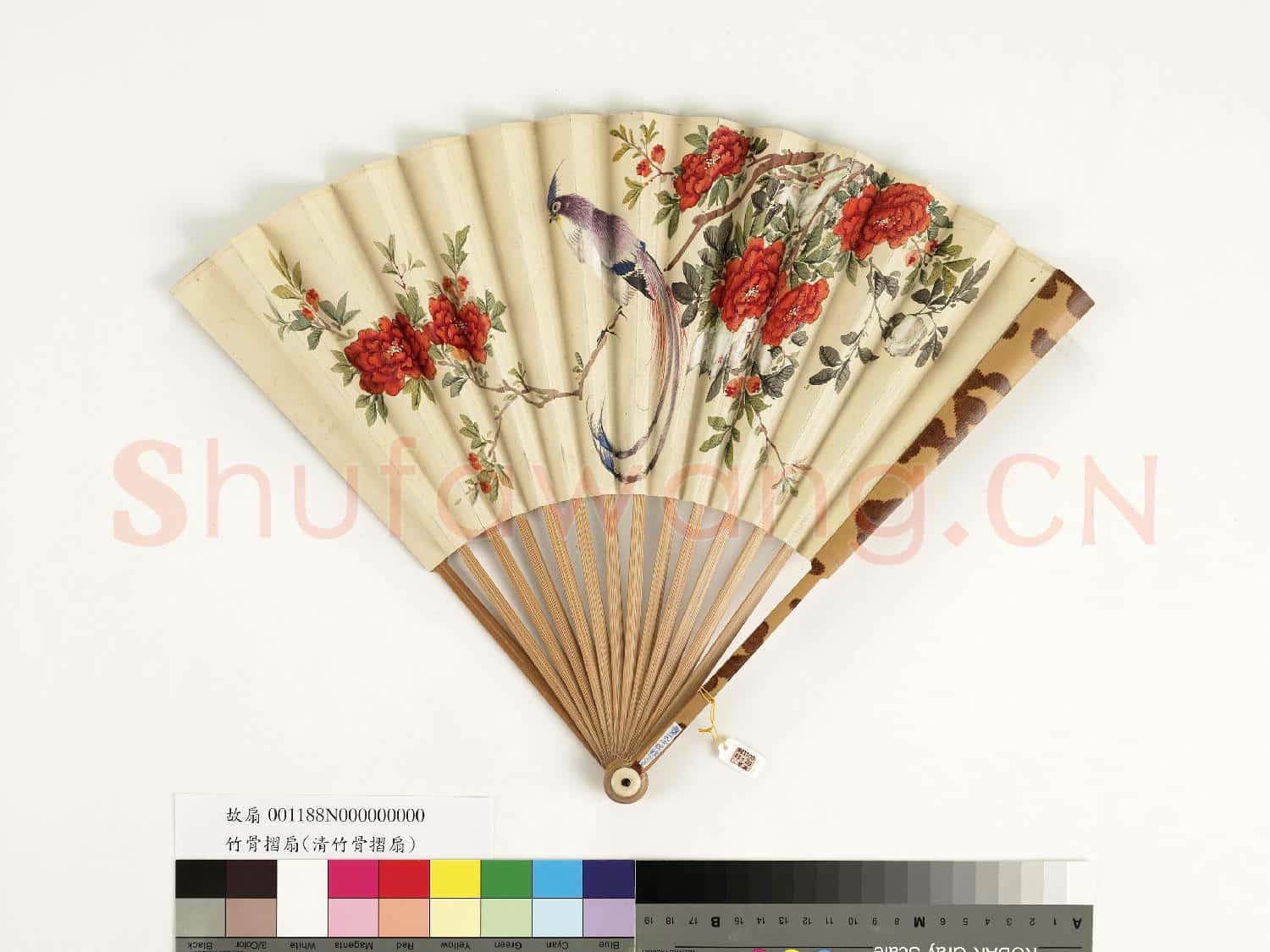 清人花鳥 成扇