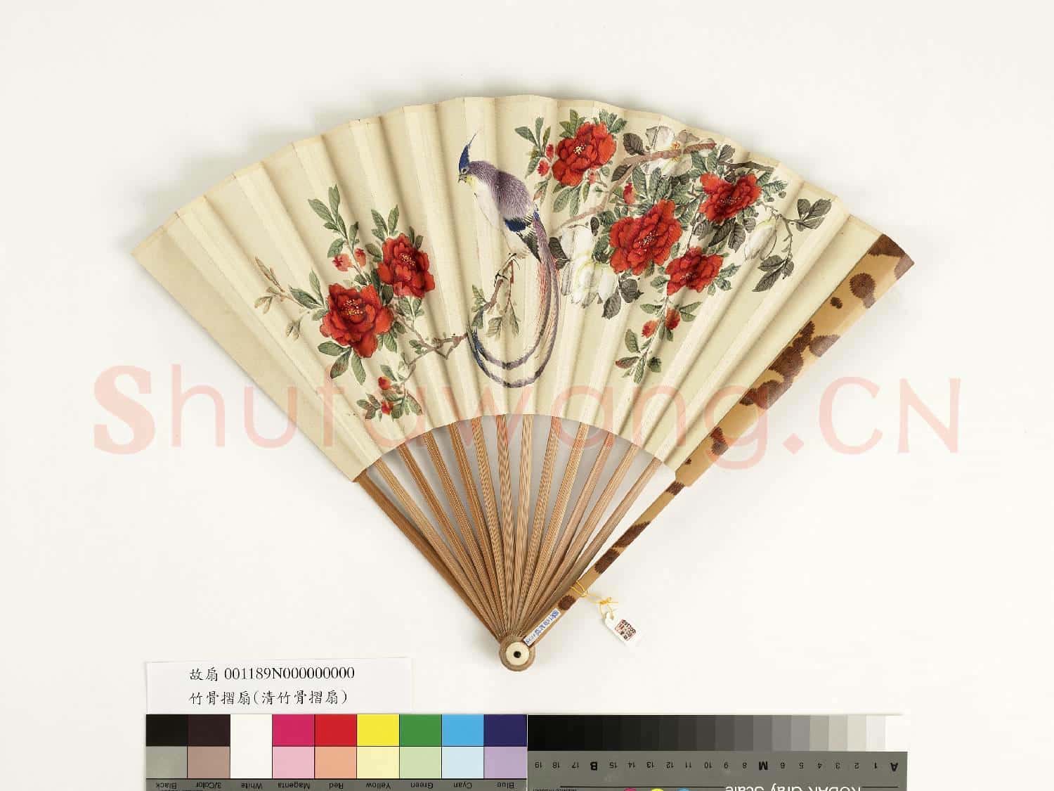 清人花鳥 成扇