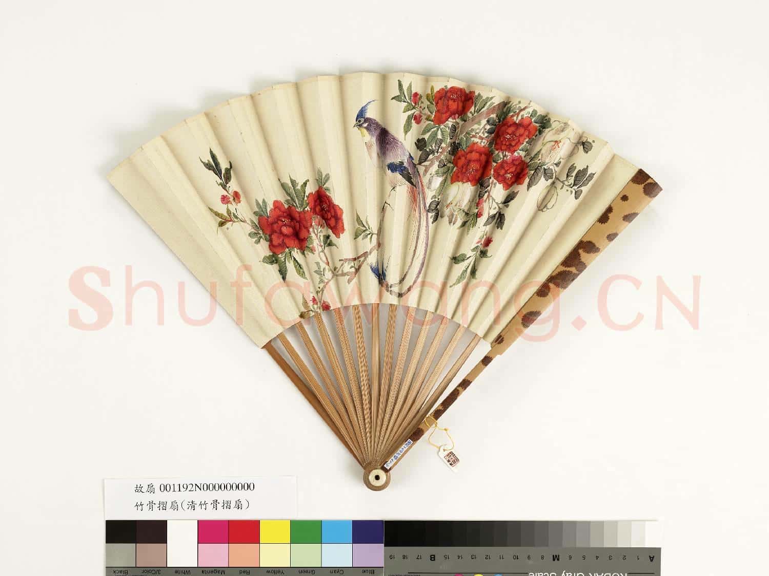 清人花鳥 成扇