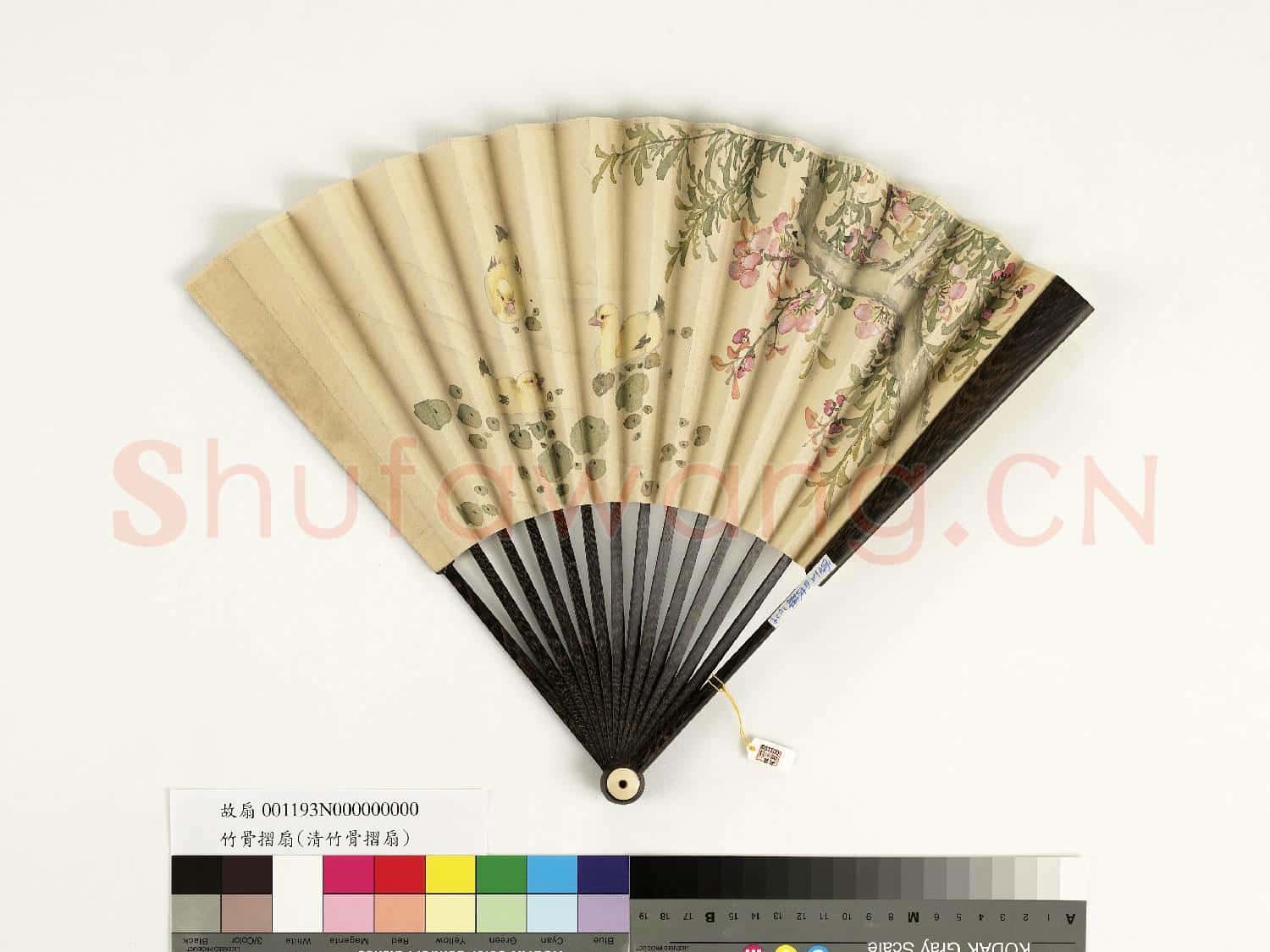 清人花鳥 成扇