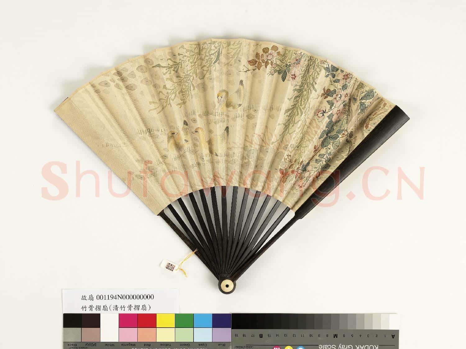 清人花鳥 成扇