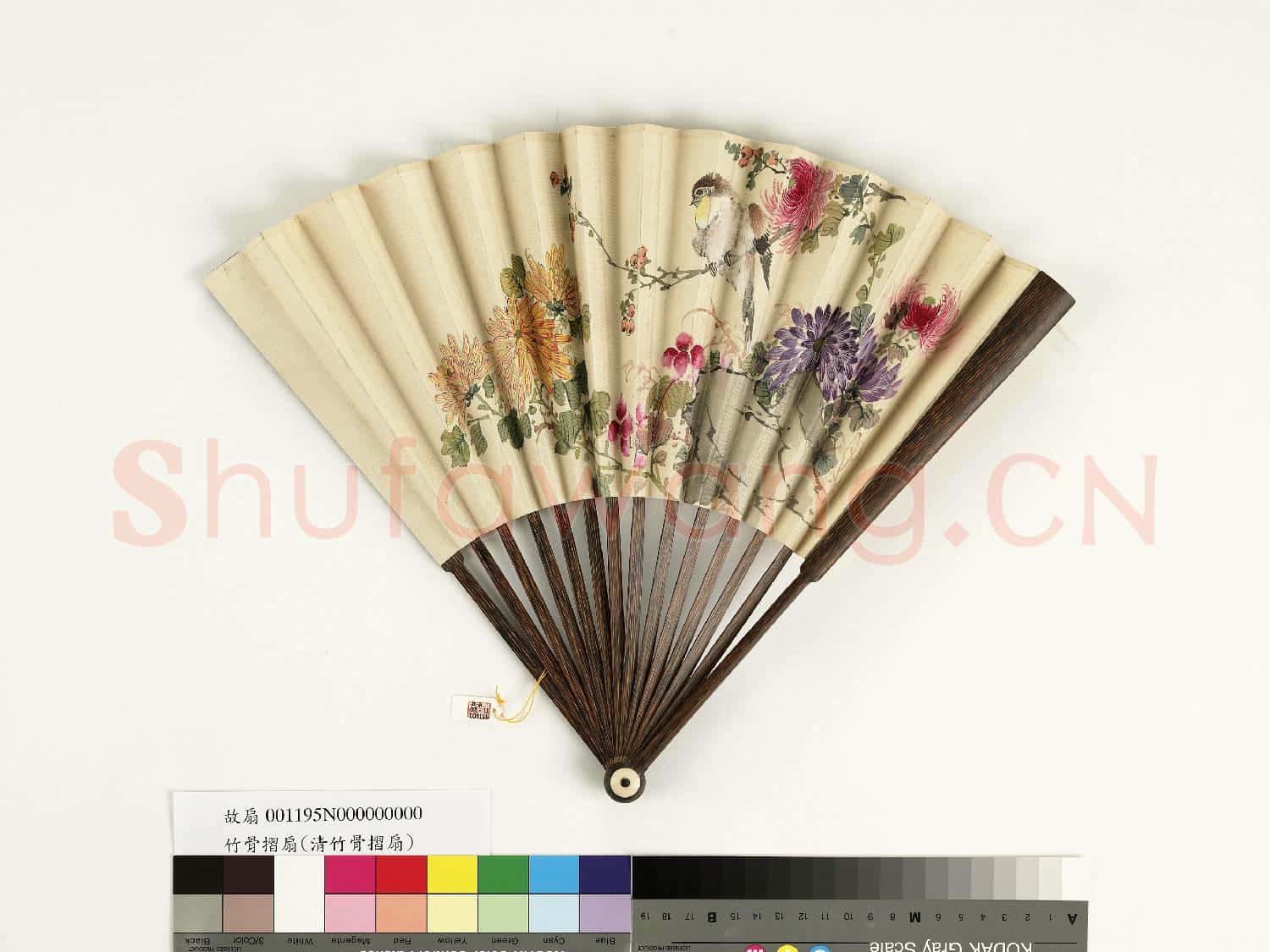 清人花鳥 成扇