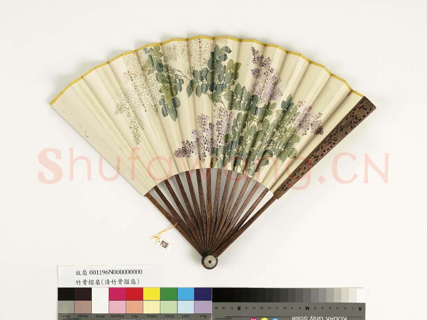 清人花卉 成扇