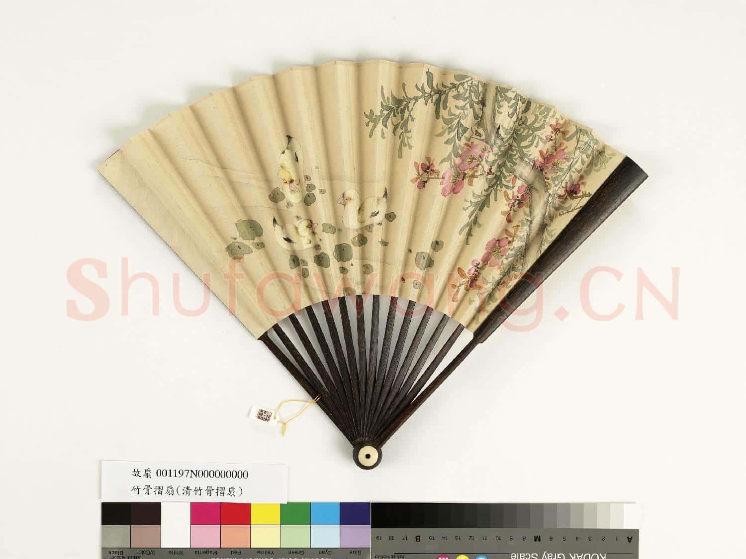清人花鳥 成扇