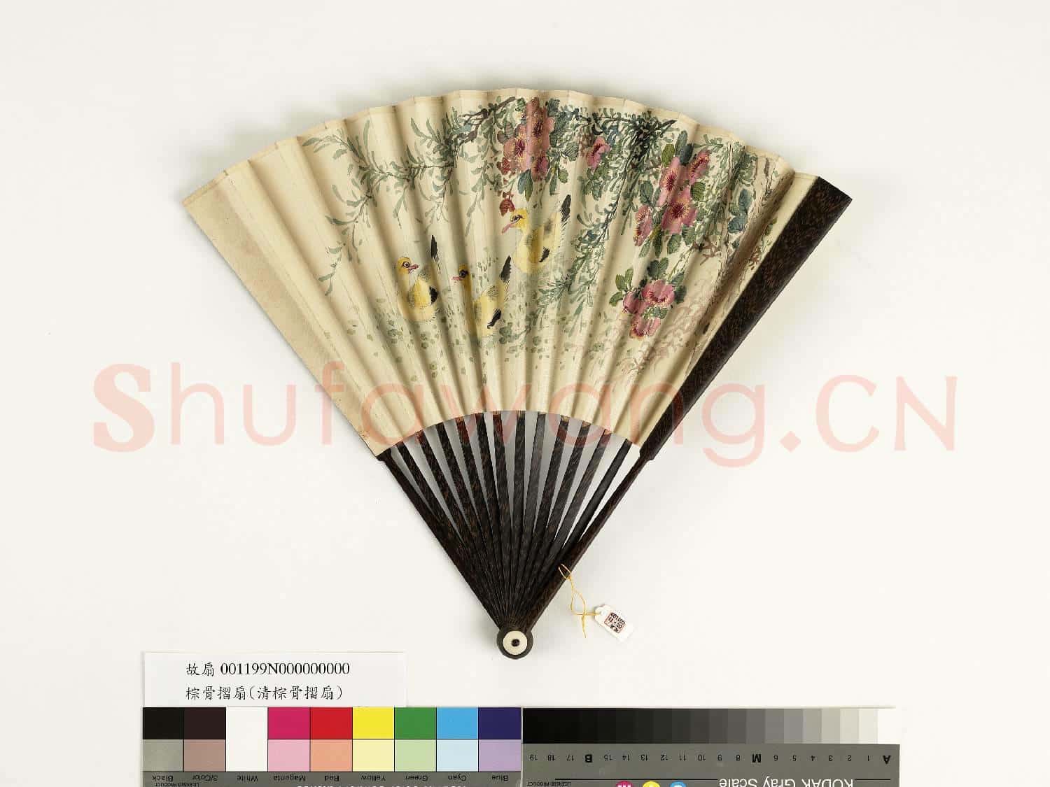 清人花鳥 成扇