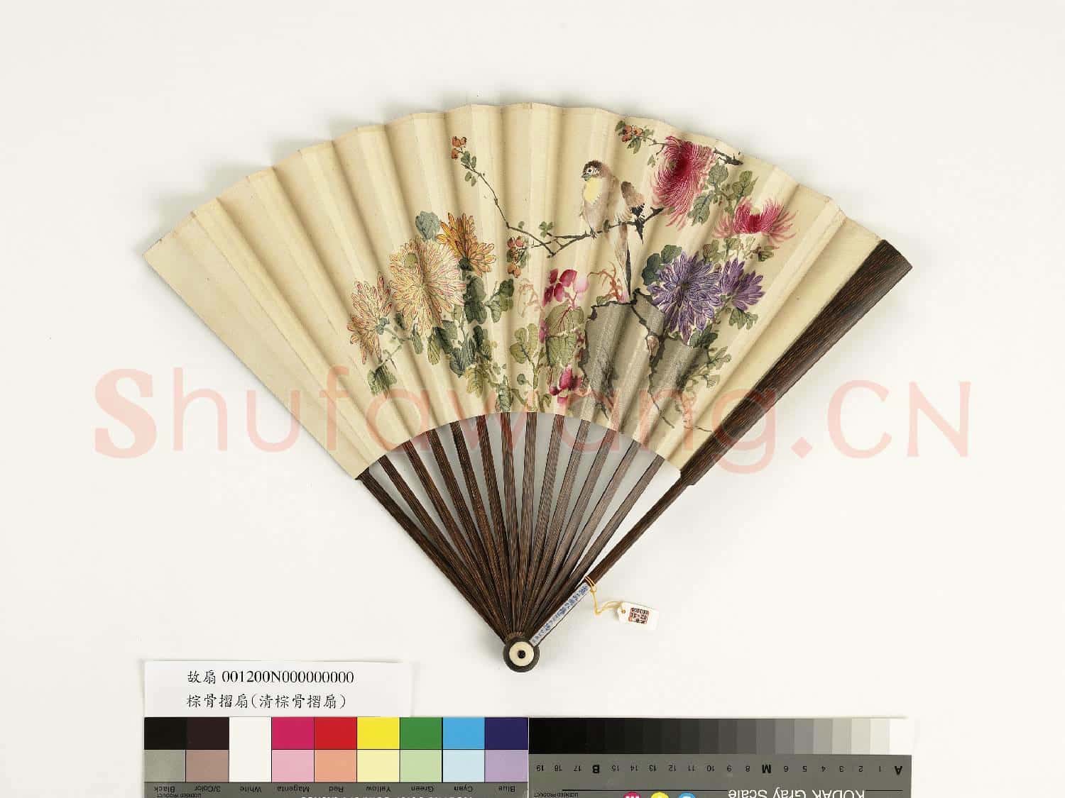 清人花鳥 成扇