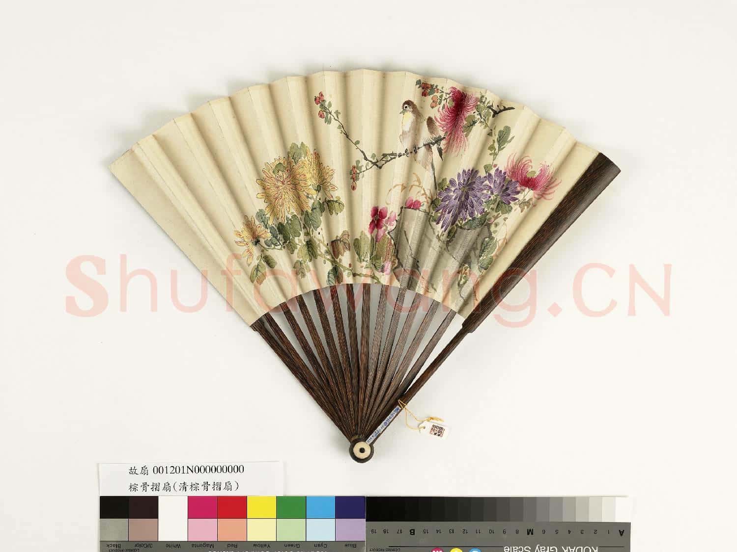 清人花鳥 成扇