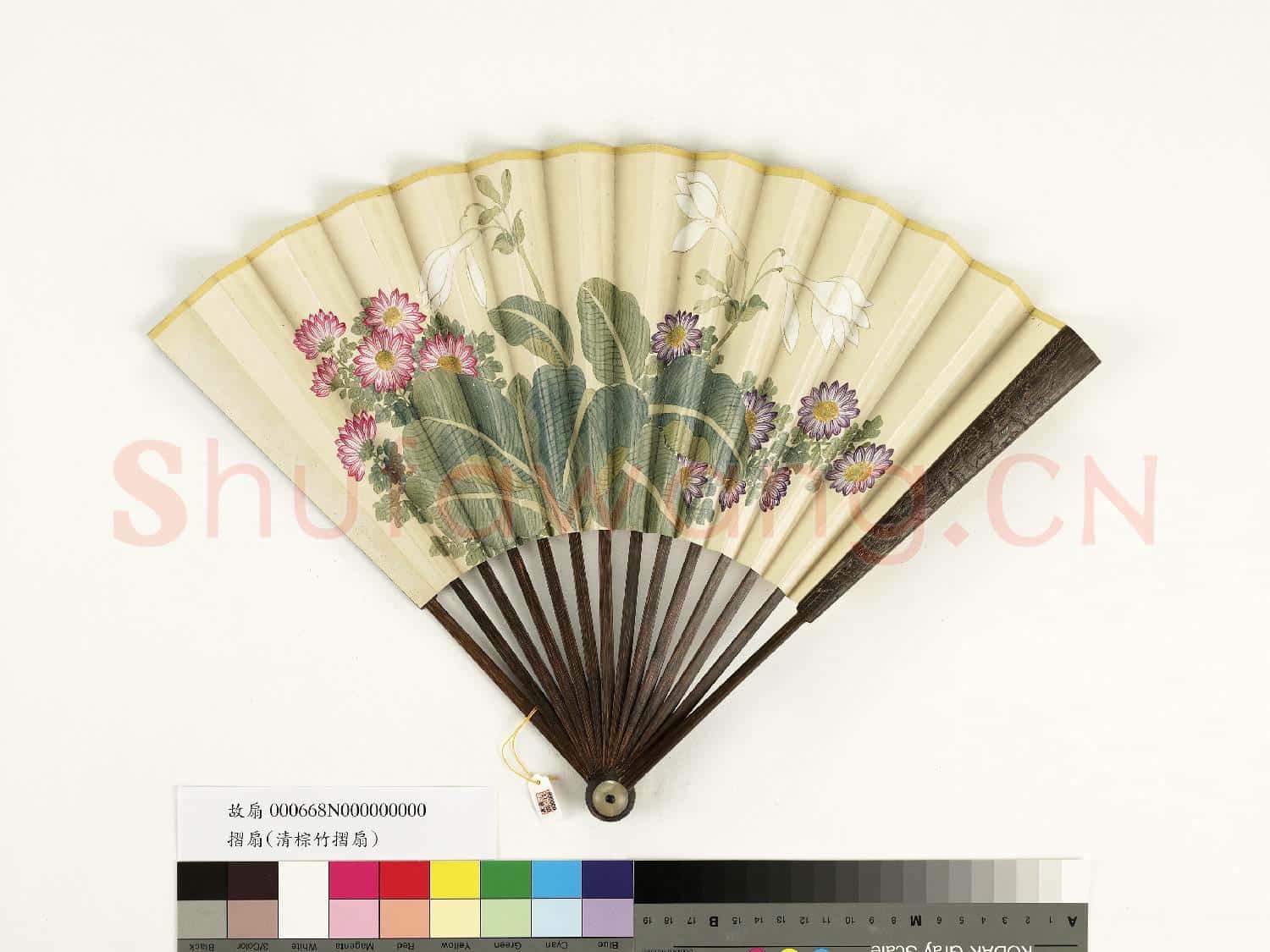 清人花卉 成扇