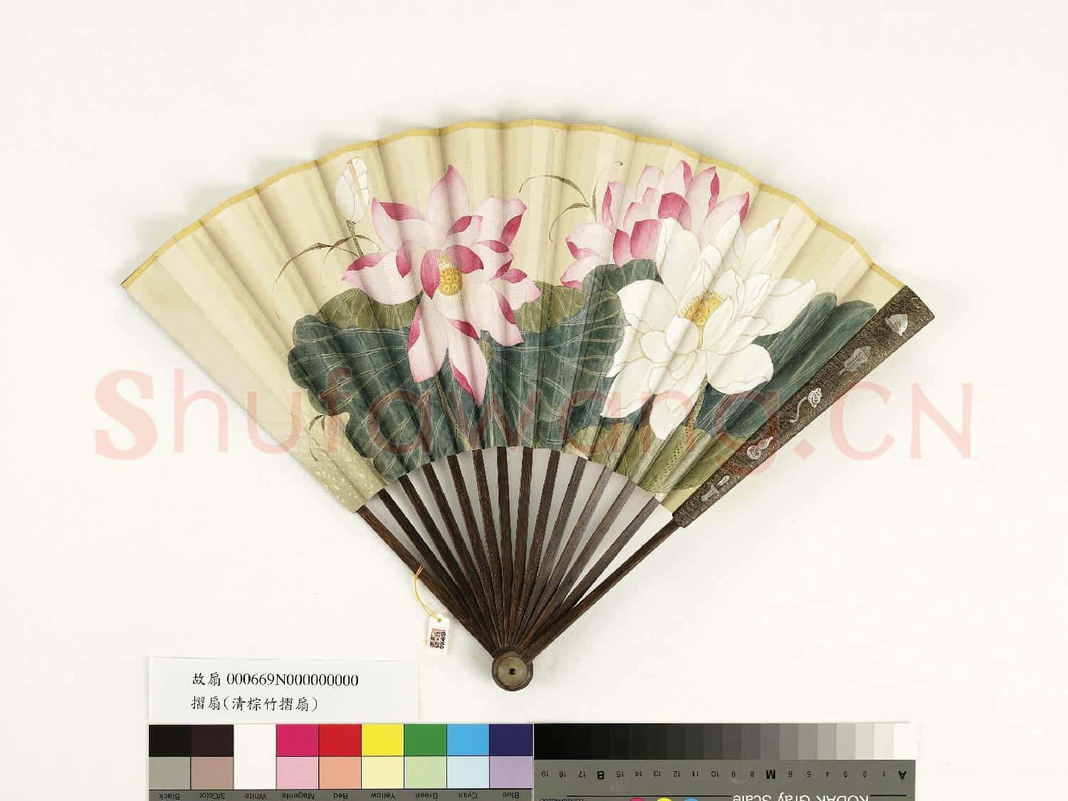 清人花卉 成扇