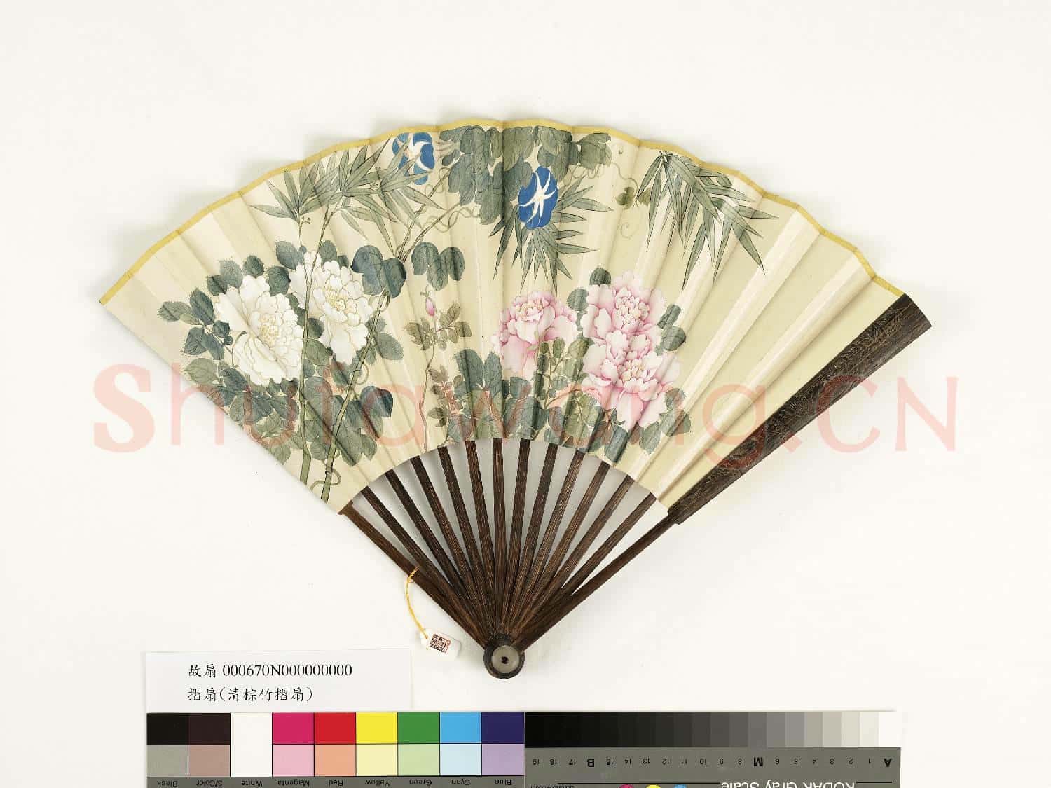 清人花卉 成扇