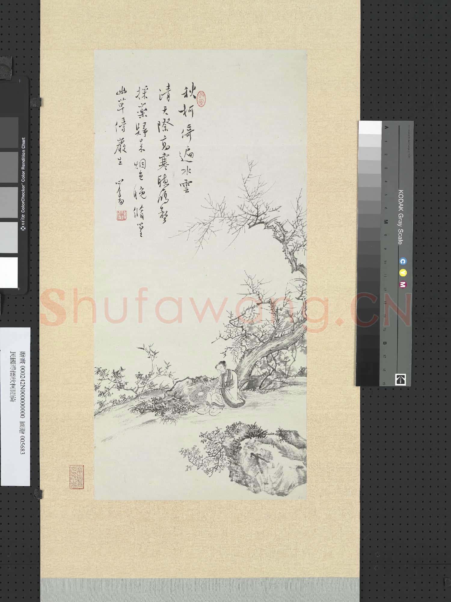 民國溥儒秋柯閒倚 軸