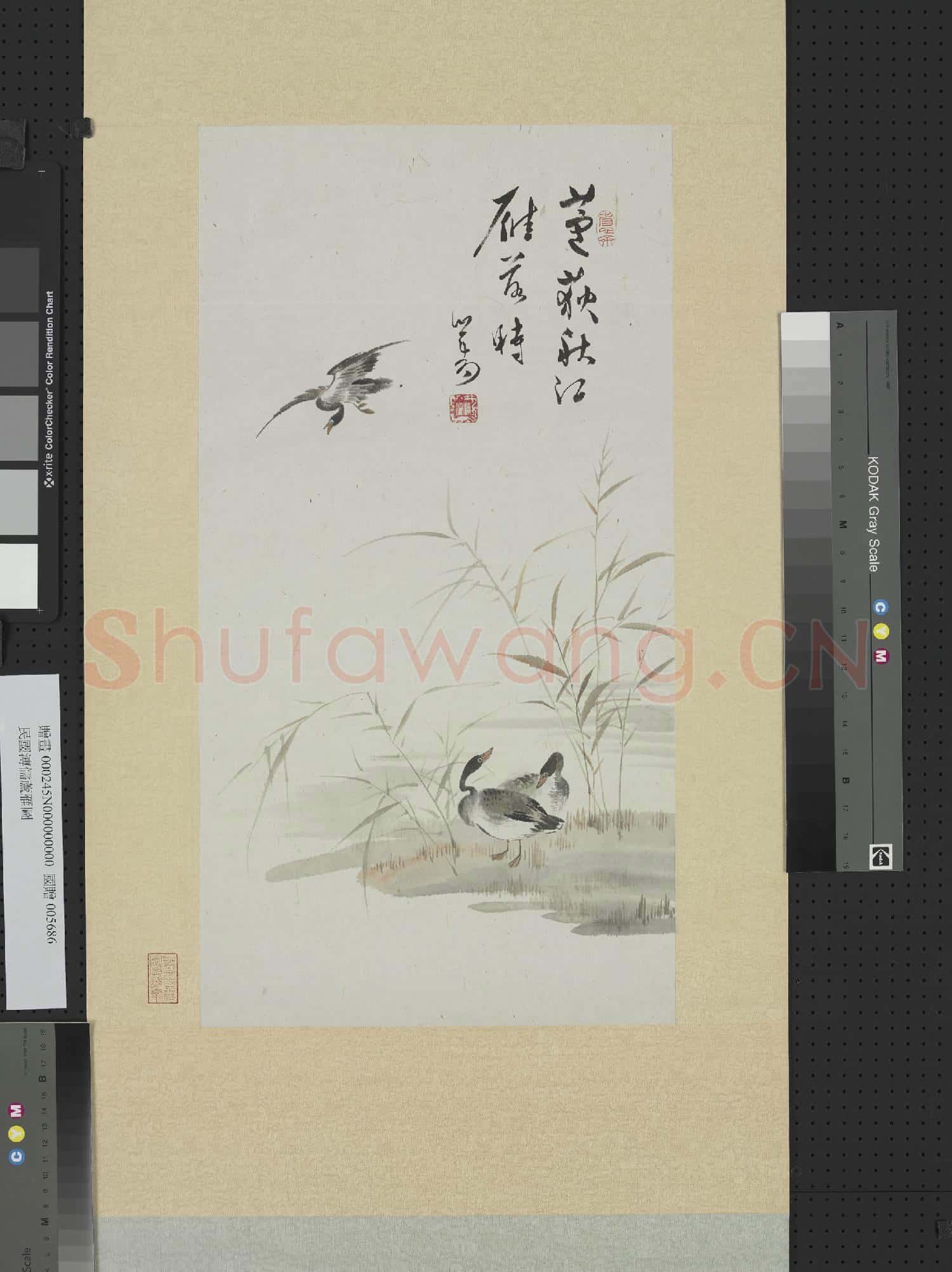 民國溥儒蘆雁圖 軸