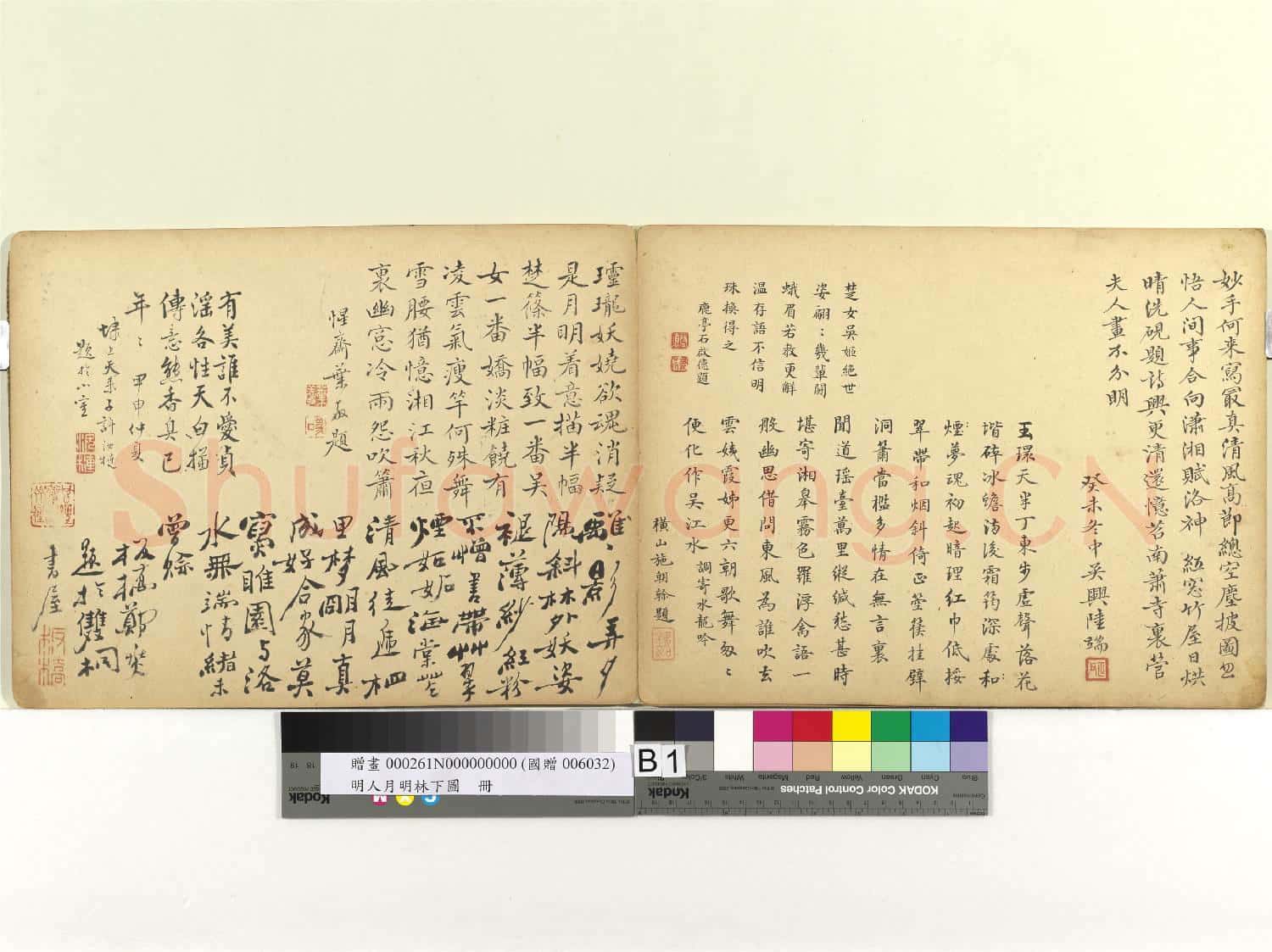 明人月明林下圖 冊
