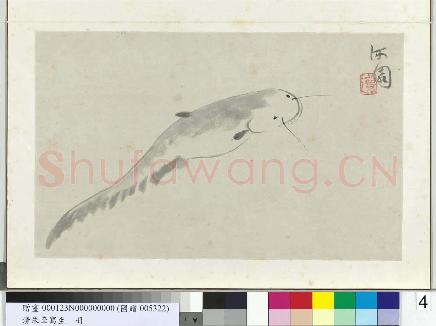 清朱耷寫生 冊 鯰魚