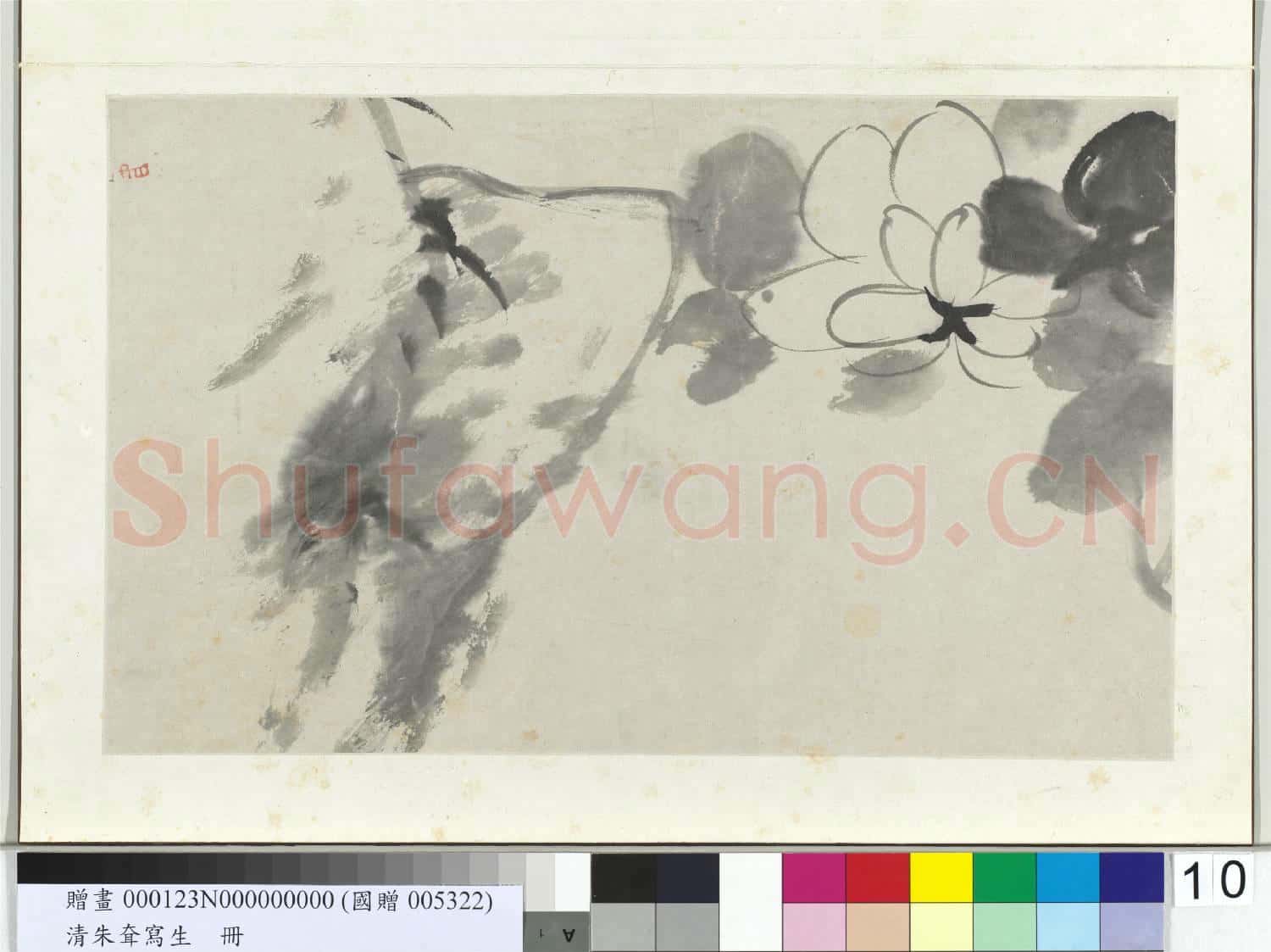 清朱耷寫生 冊 芙蓉