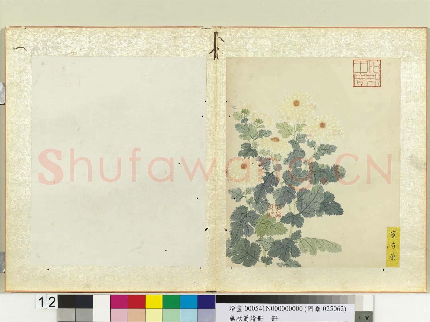 無款菊繪冊 冊 蜜芍藥