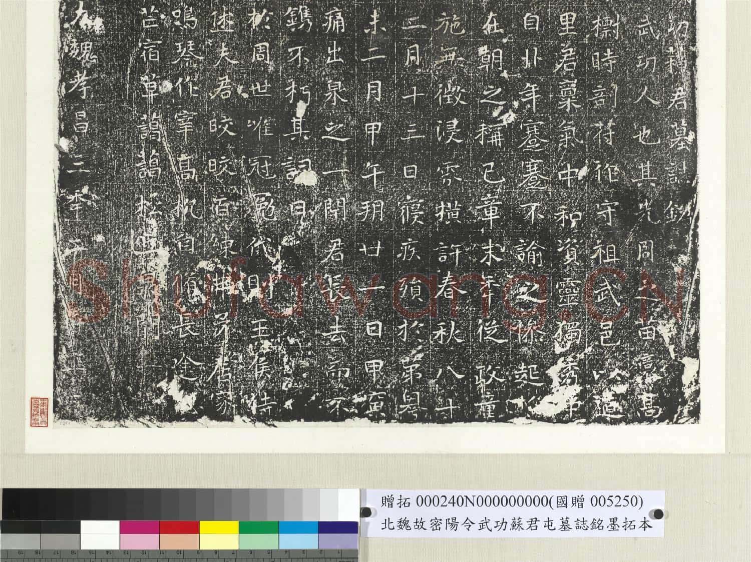 北魏故密陽令武功蘇君屯墓誌銘墨拓本 軸