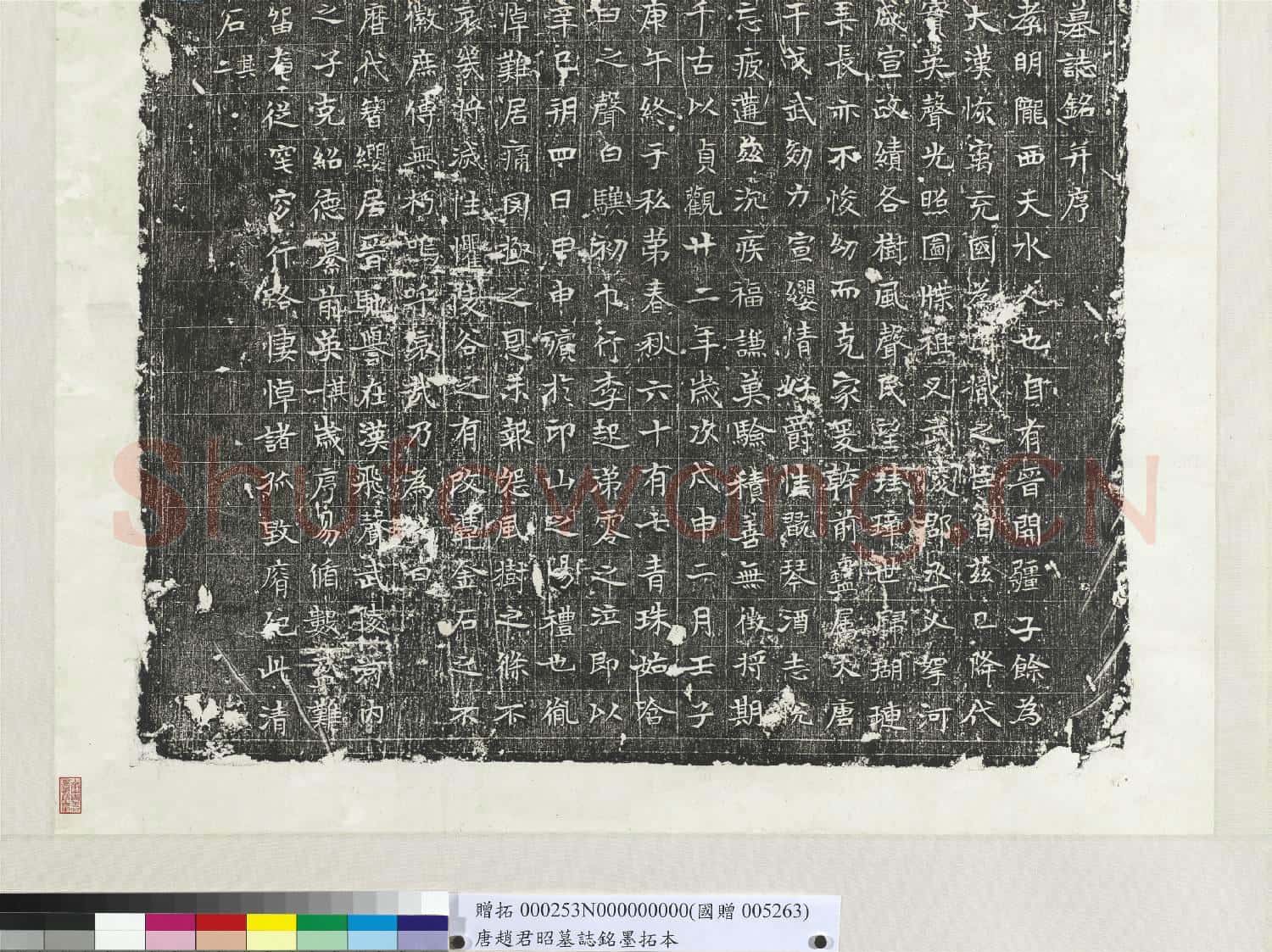 唐趙君昭墓誌銘墨拓本 軸