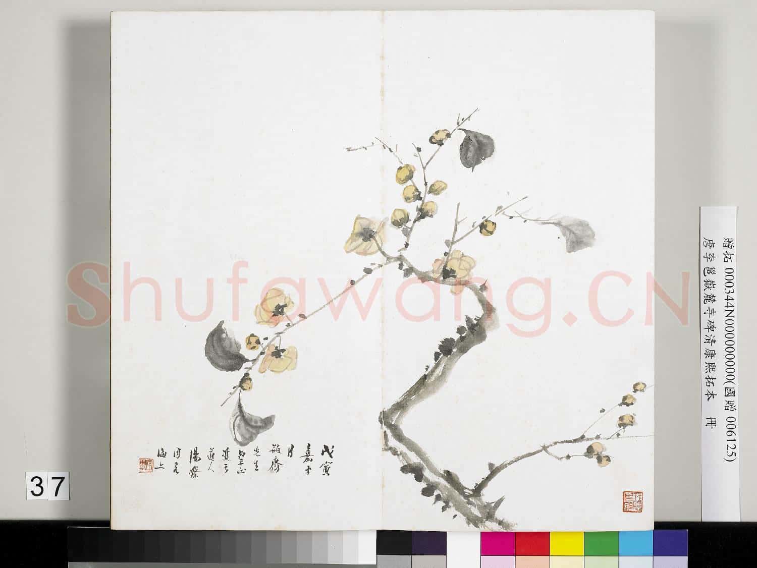 唐李邕嶽麓寺碑康熙拓本 冊